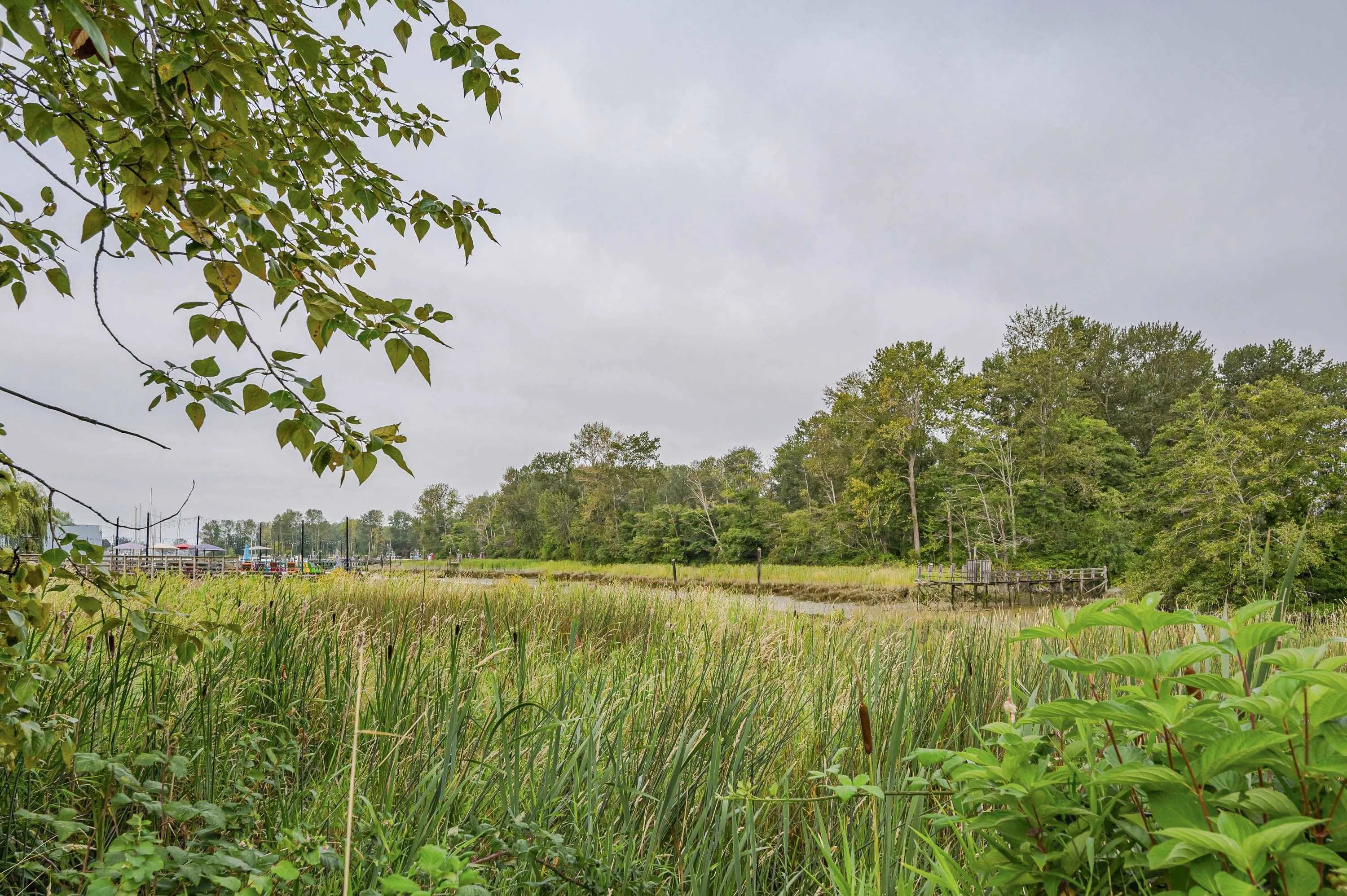 307 4955 River Road