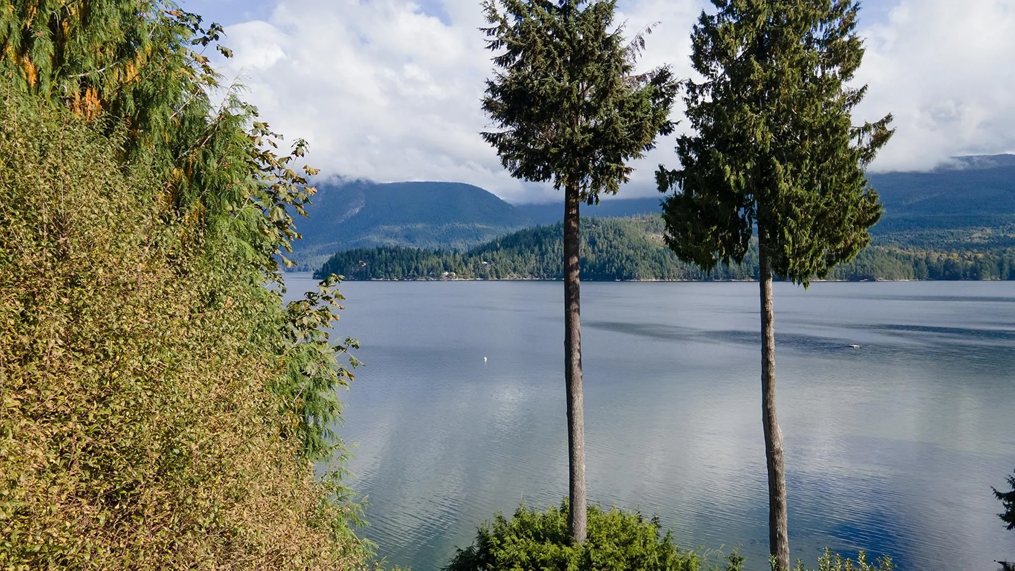 Lot 81 N Gale Avenue