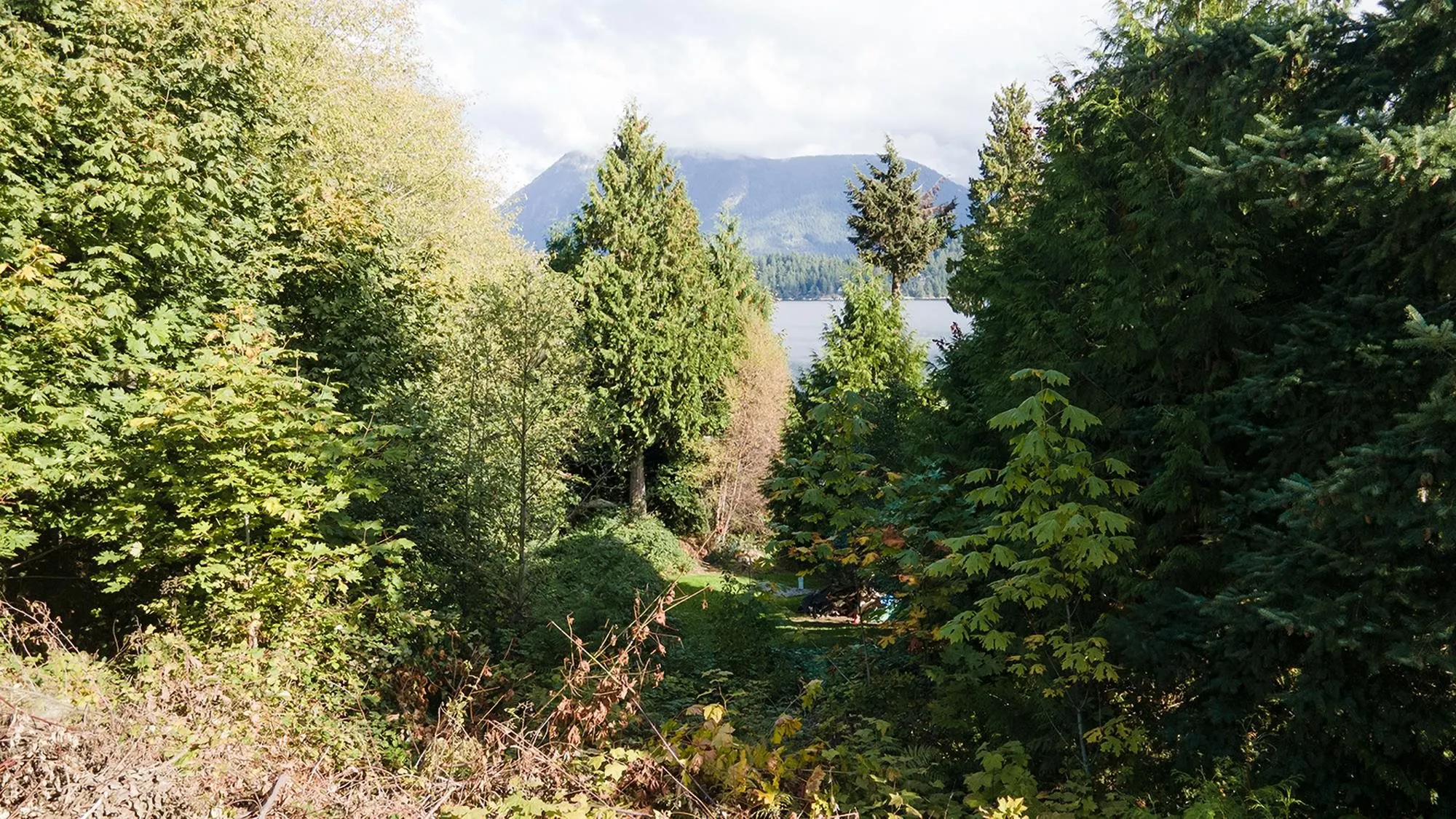 Lot 81 N Gale Avenue