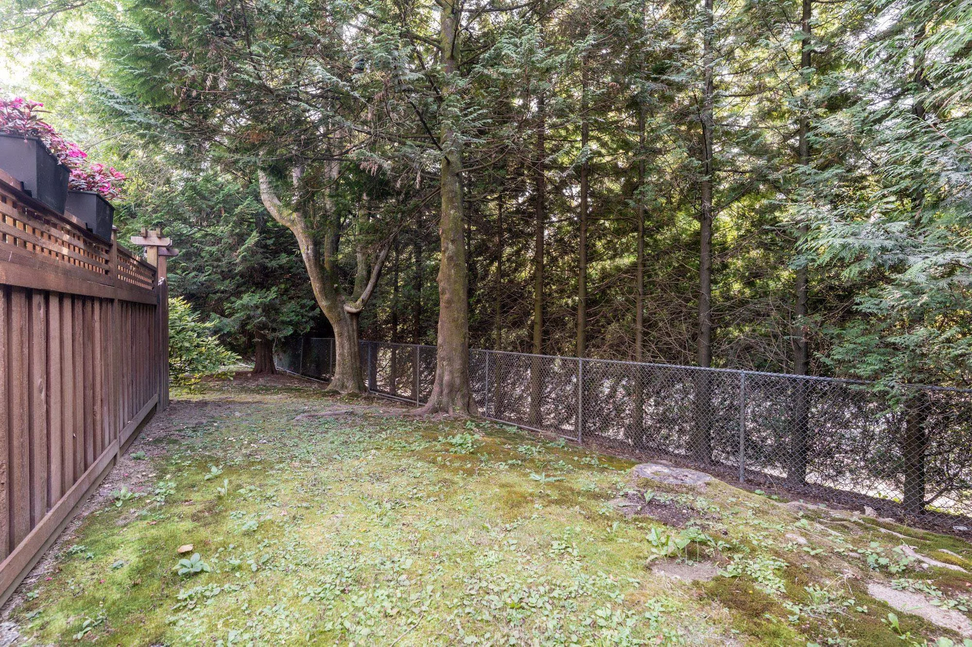 3029 Carina Place