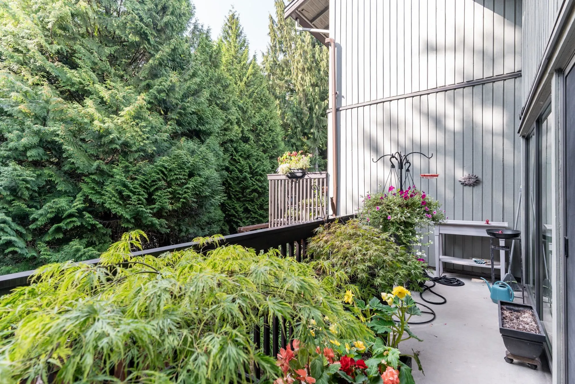 3029 Carina Place