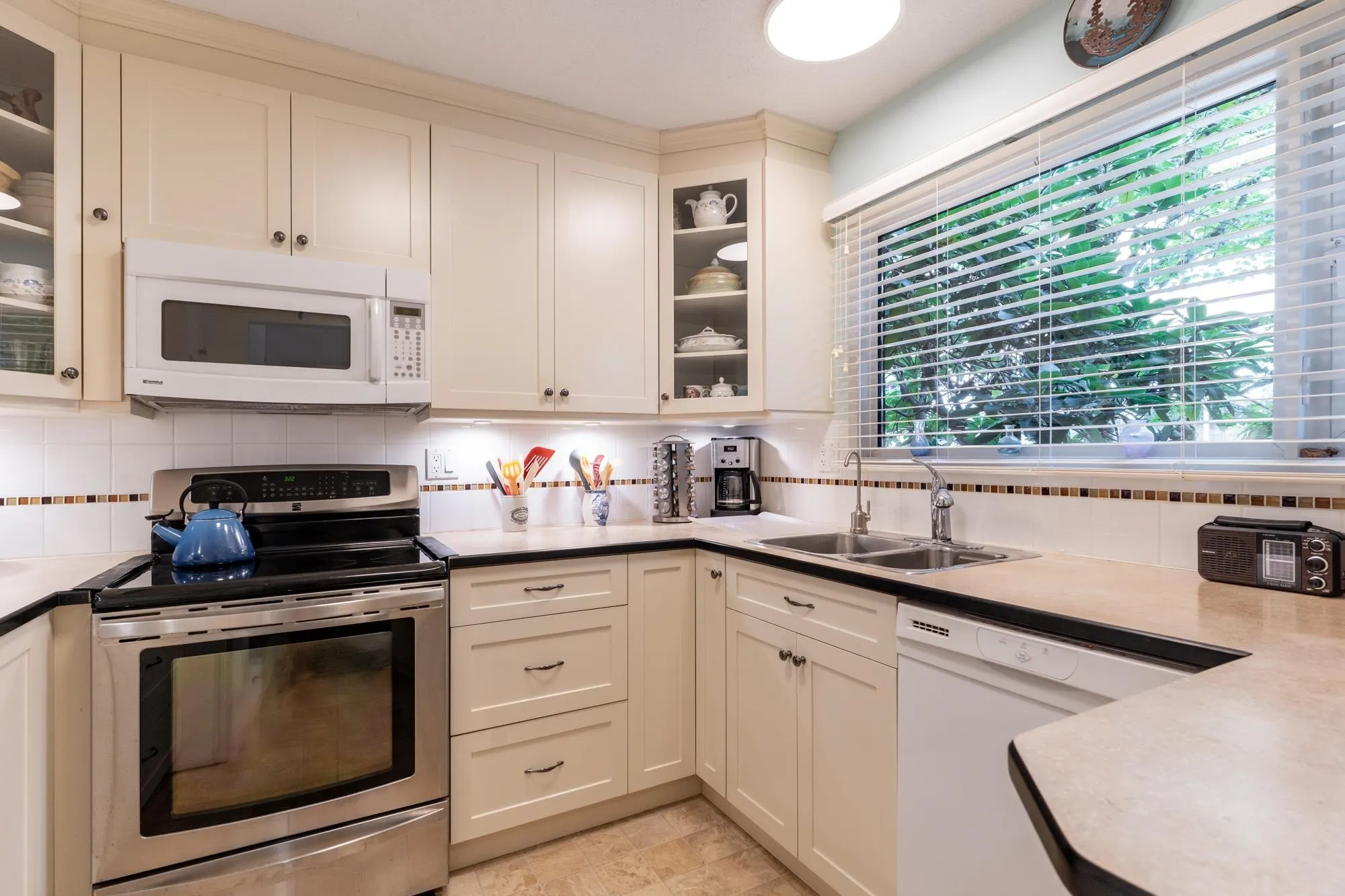 3029 Carina Place