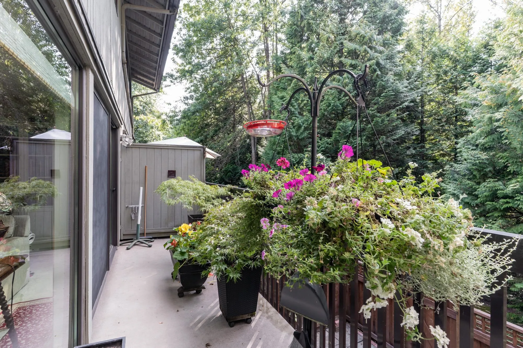 3029 Carina Place