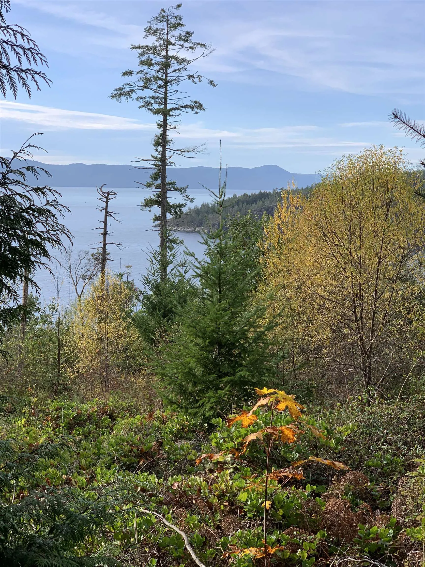 Lot 23 Sakinaw Drive