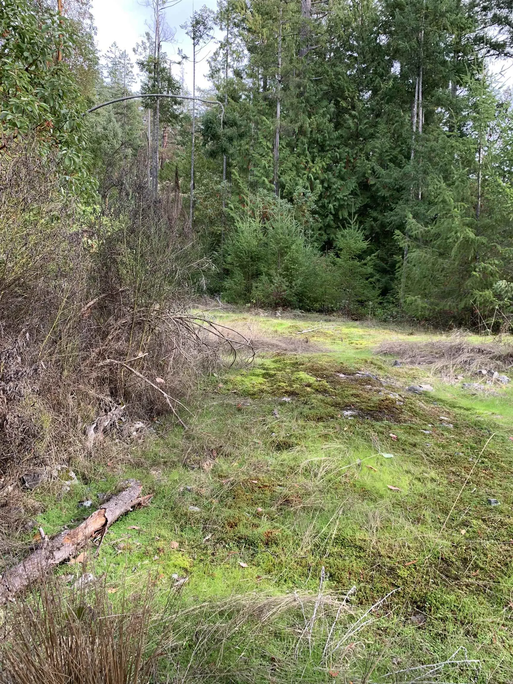 Lot 23 Sakinaw Drive