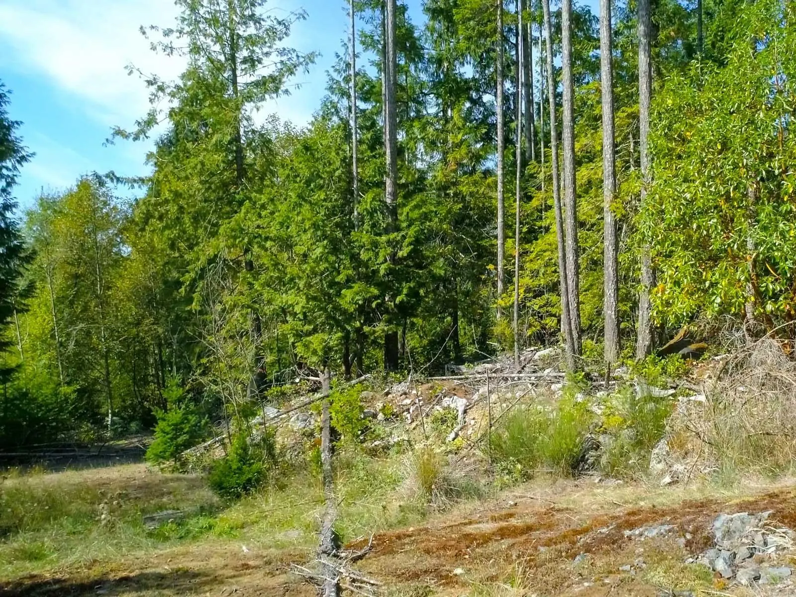 Lot 23 Sakinaw Drive