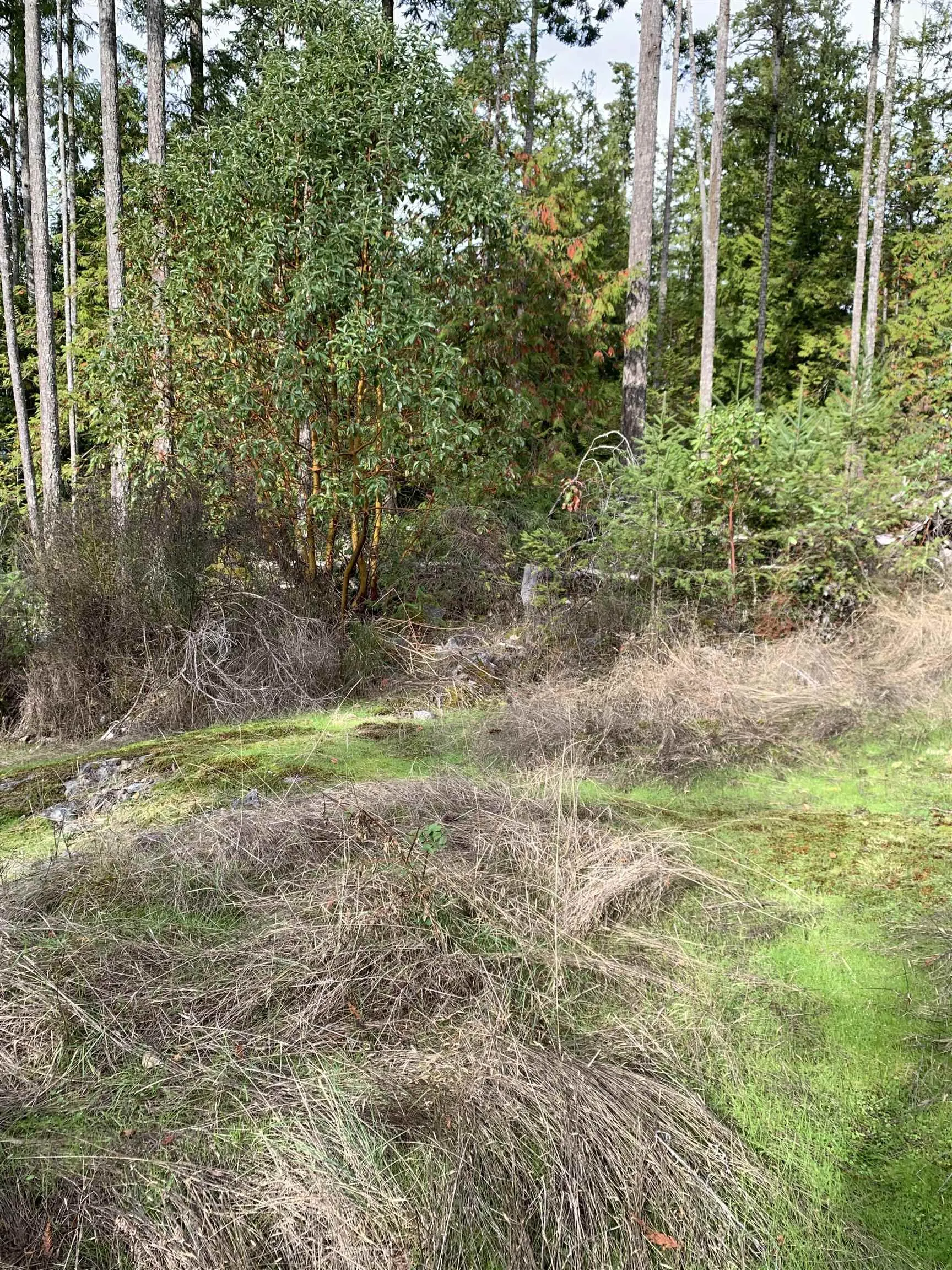 Lot 23 Sakinaw Drive