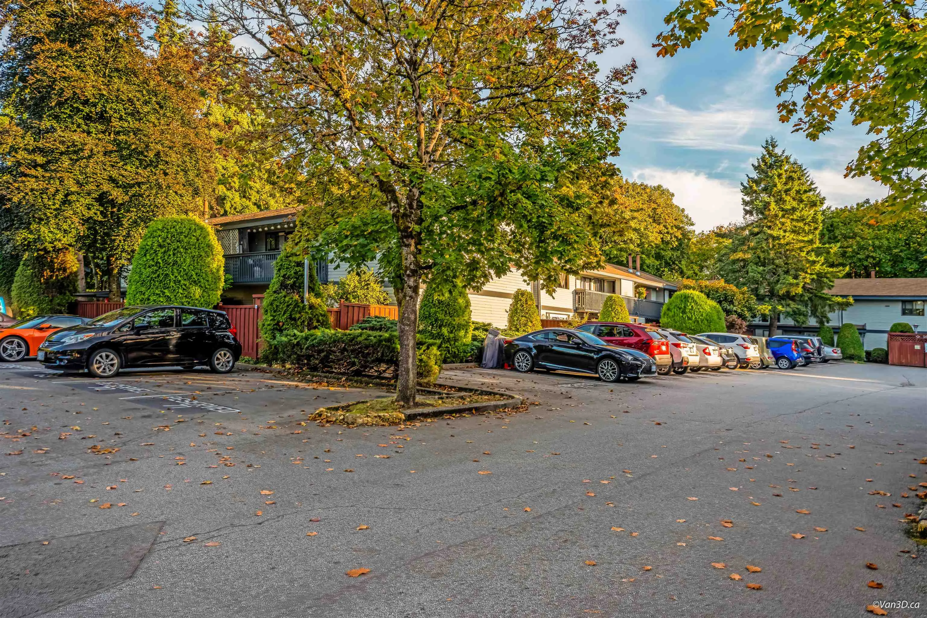 11666 Kingsbridge Drive