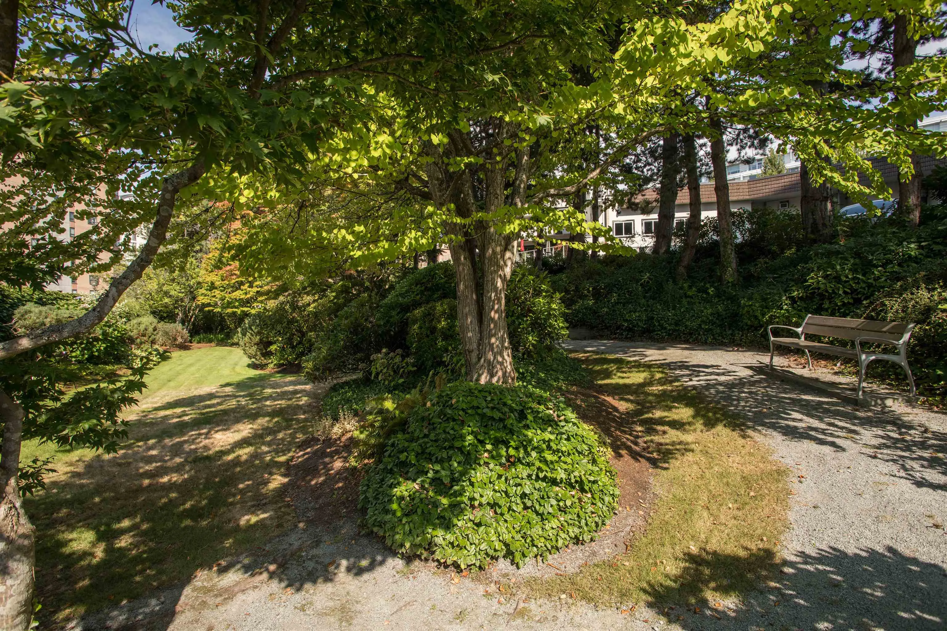 1302 2203 Bellevue Avenue
