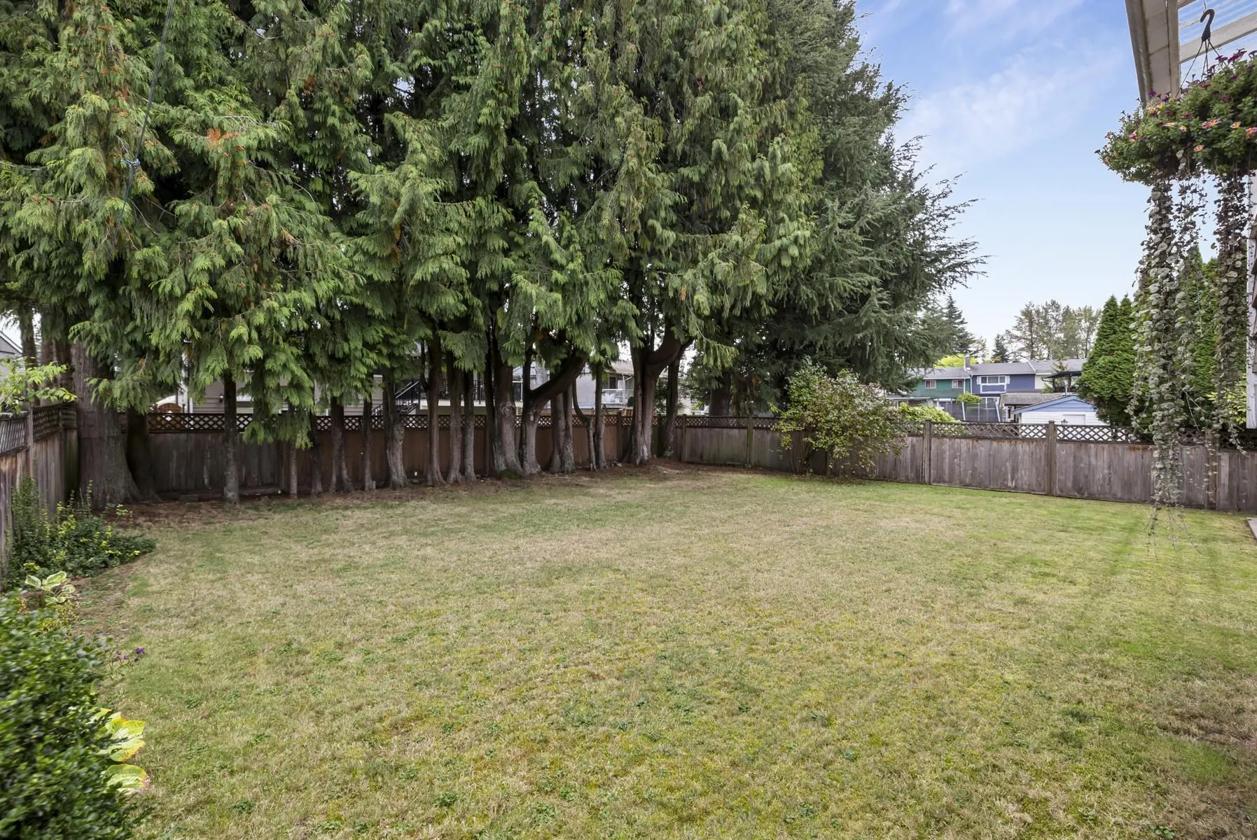 1441 Delia Drive