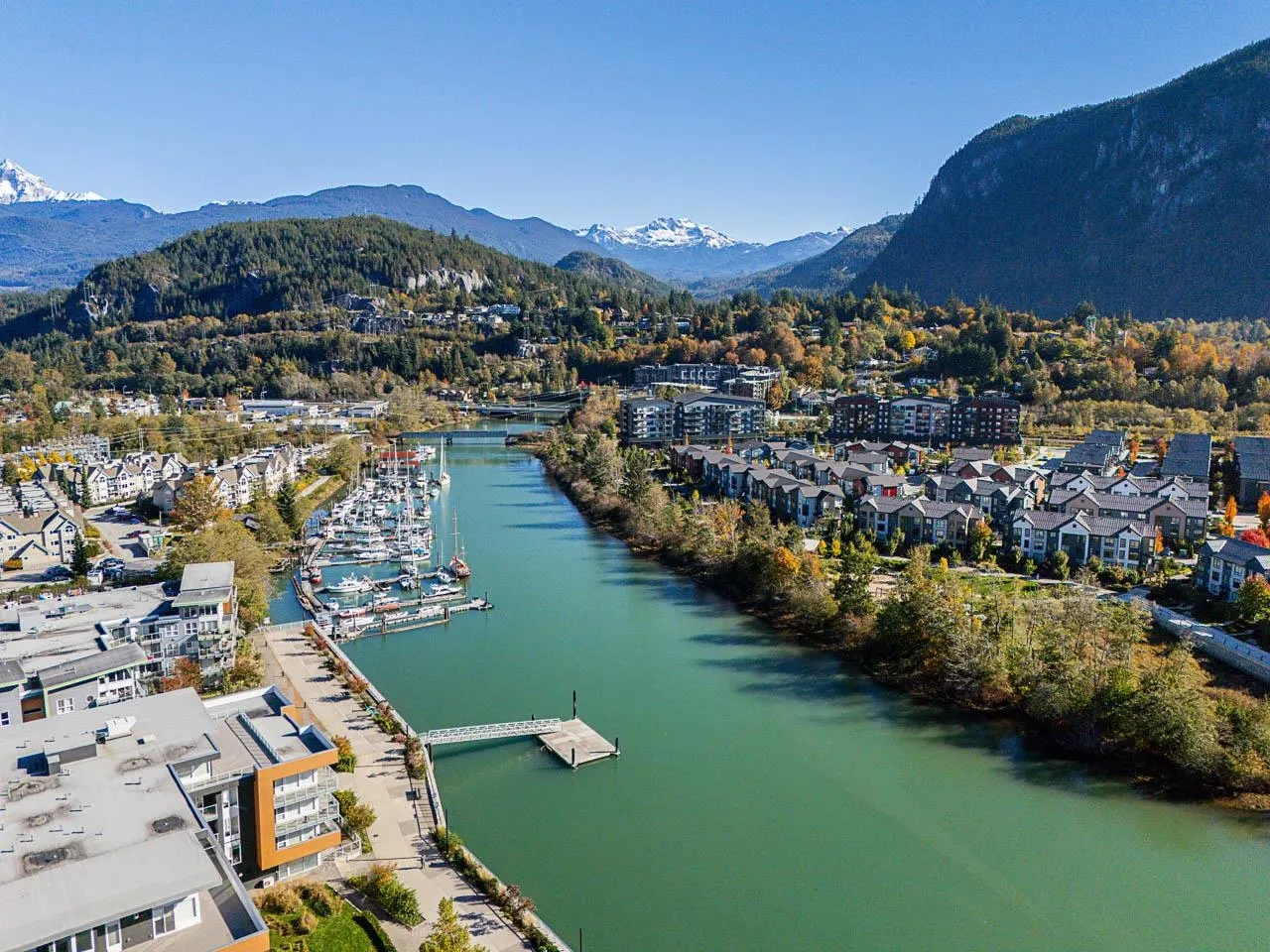 402 1310 Victoria Street