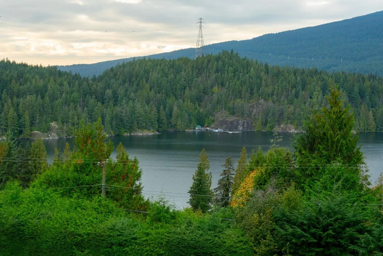 3642 Bedwell Bay Road