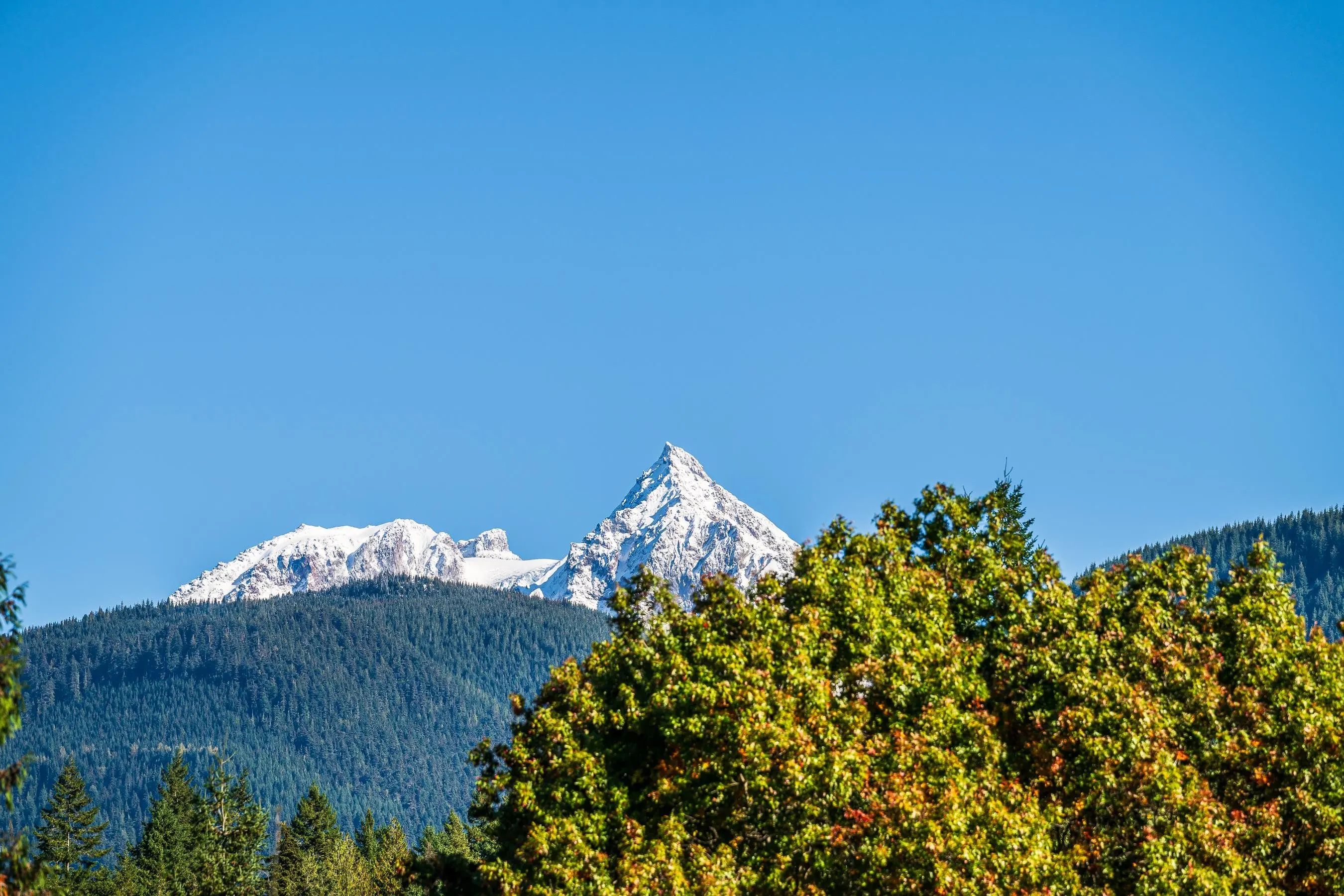 2332 Argyle Crescent