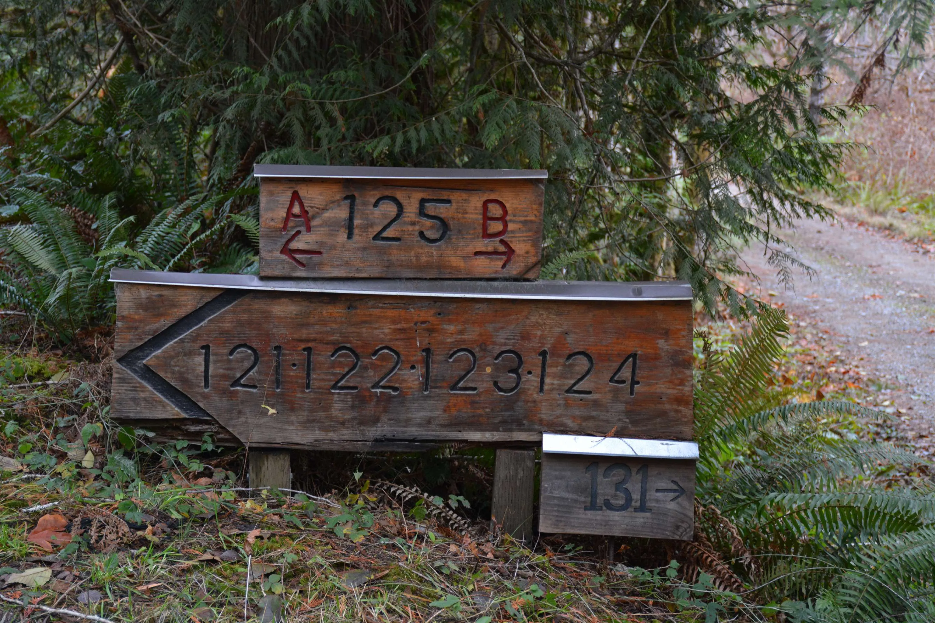 122 7101 Sakinaw Woods