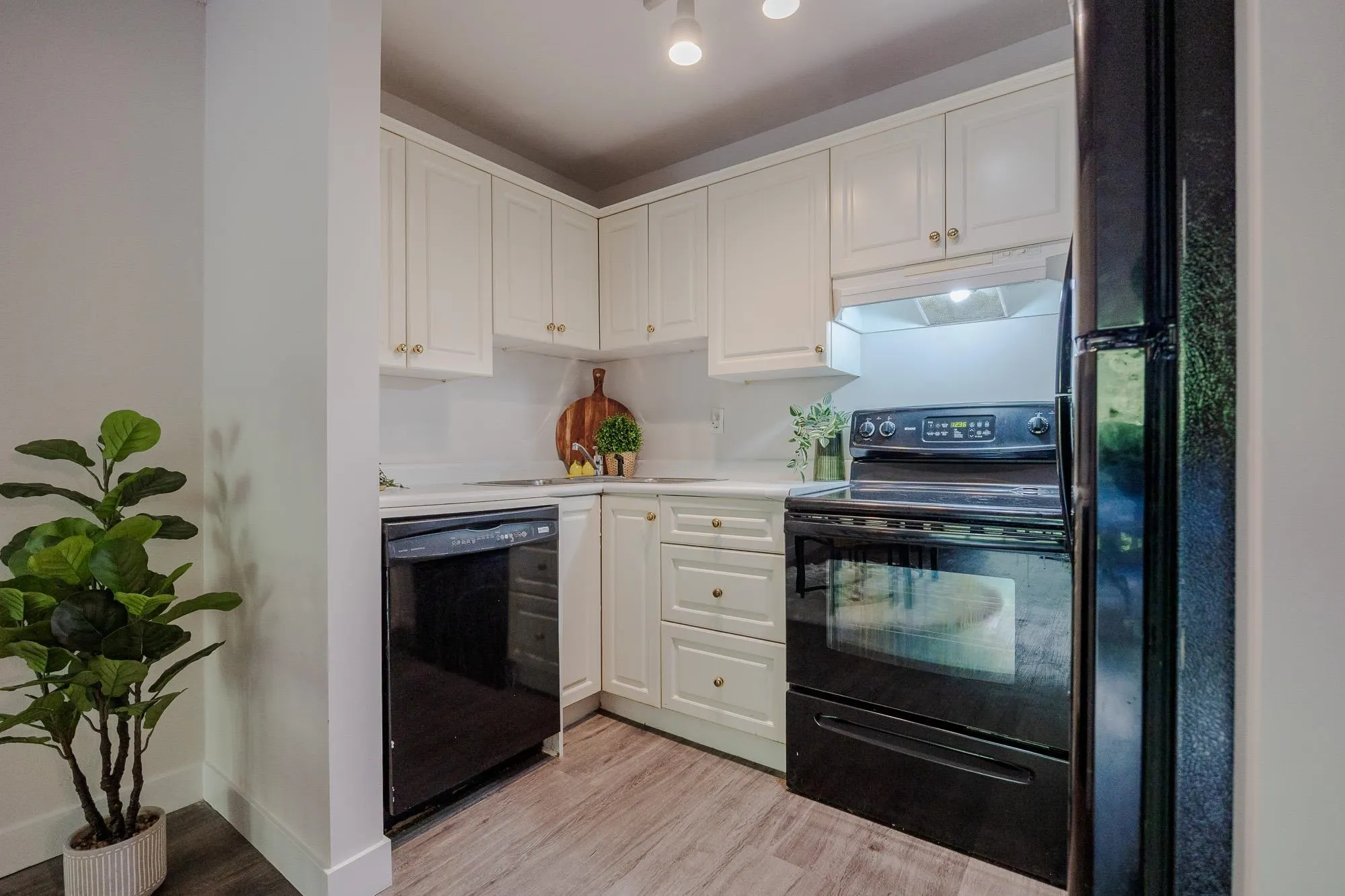 #213 215 Mowat Street