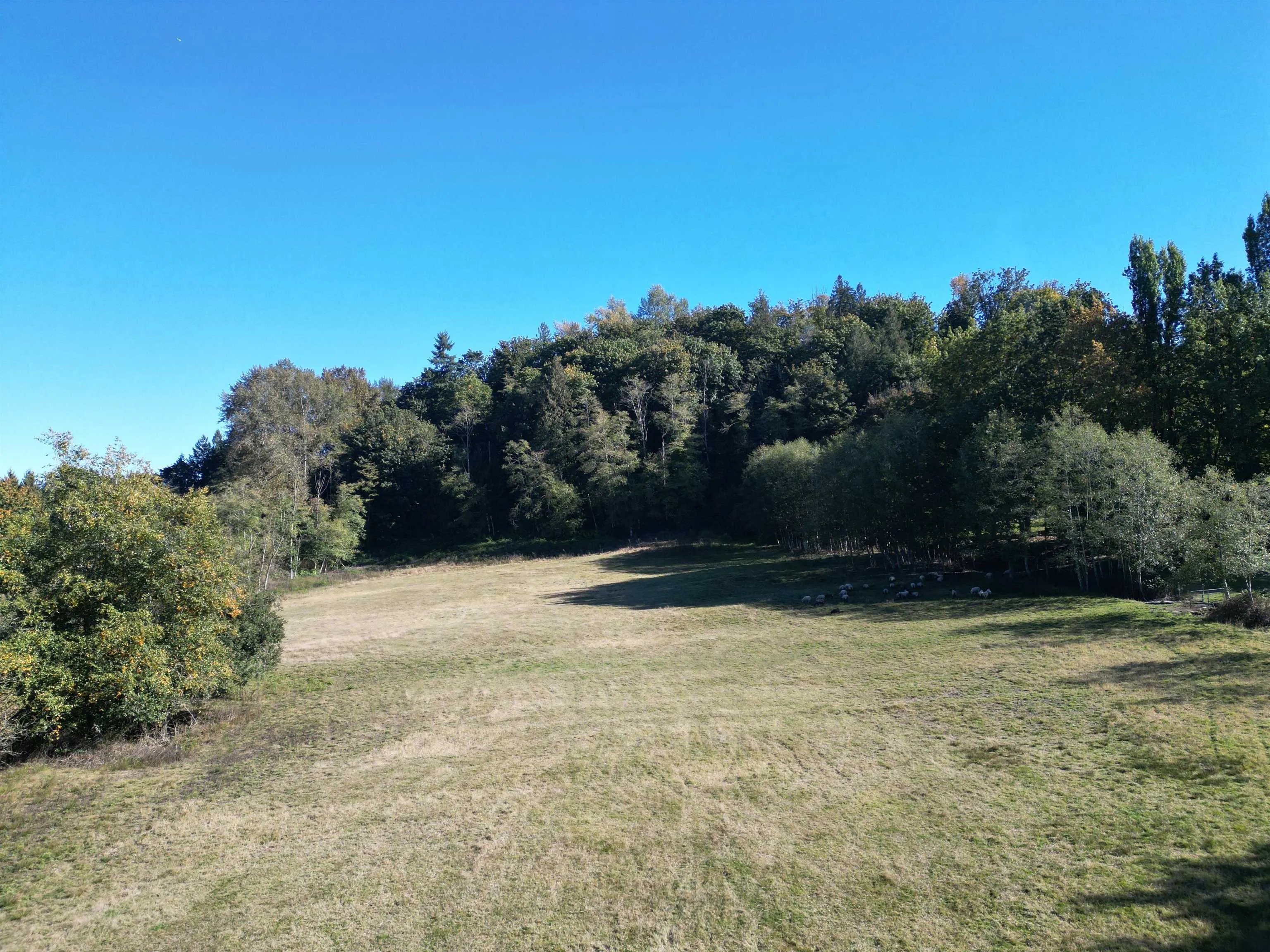 8410 Bradner Road