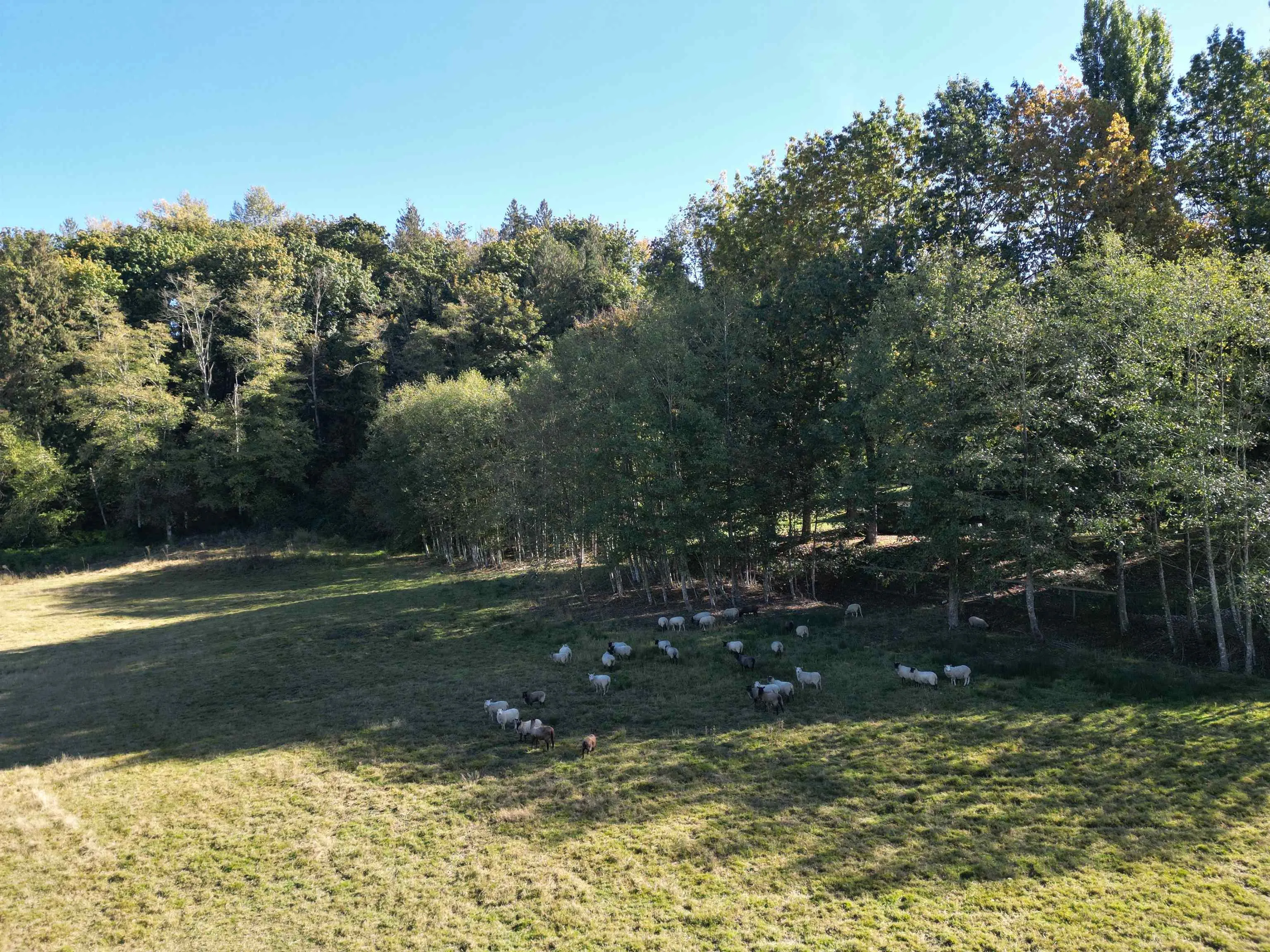 8410 Bradner Road