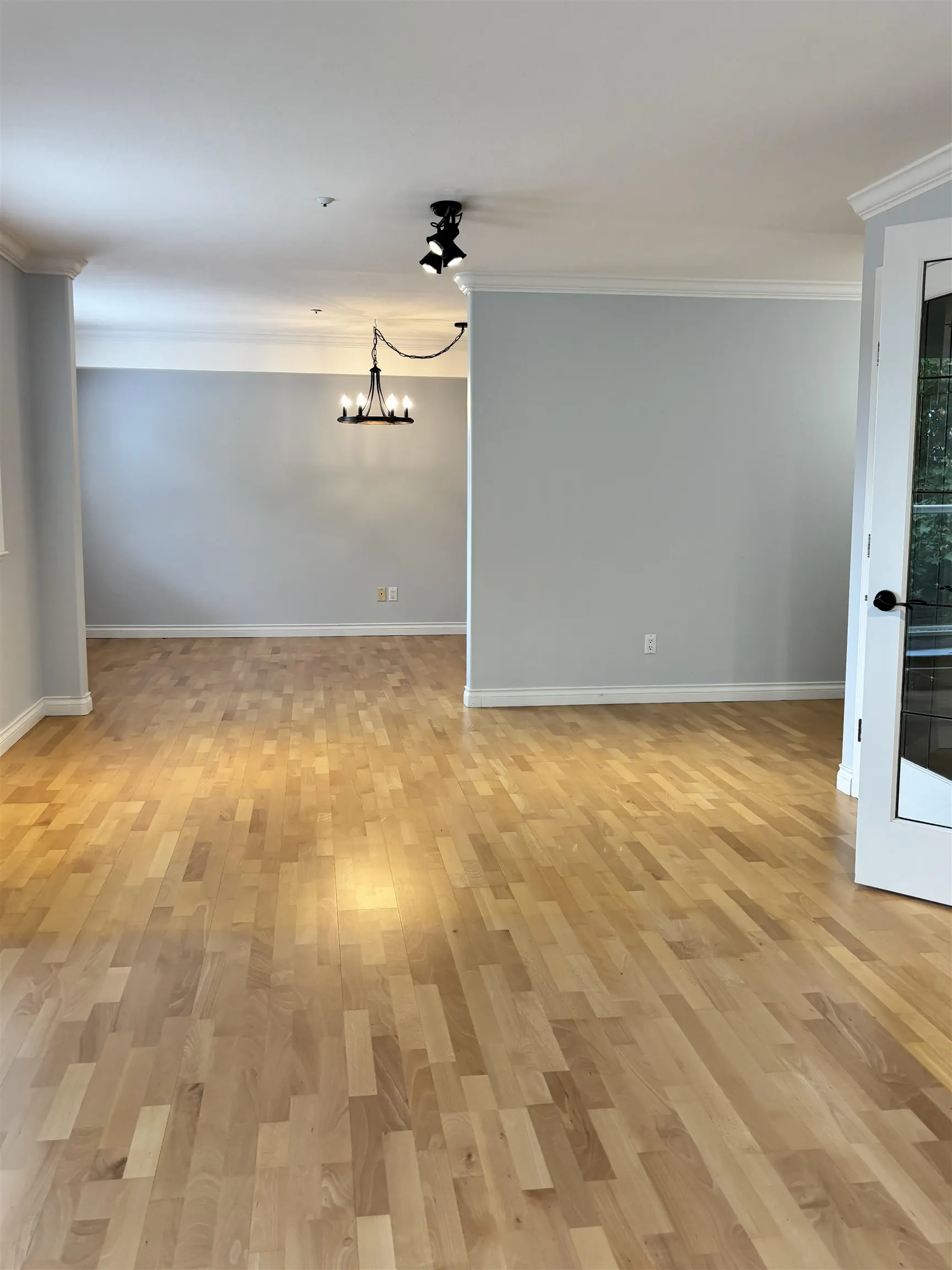 A203 1258 Hunter Road