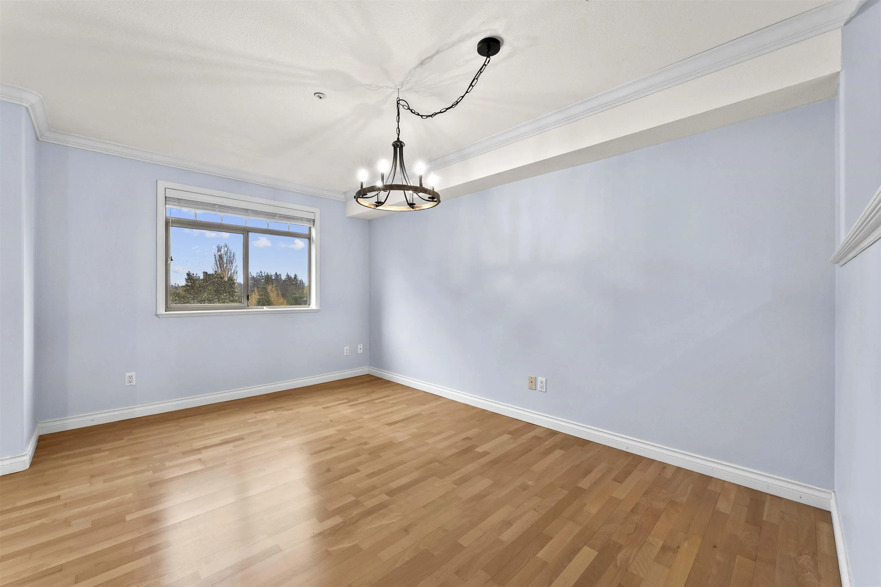 A203 1258 Hunter Road