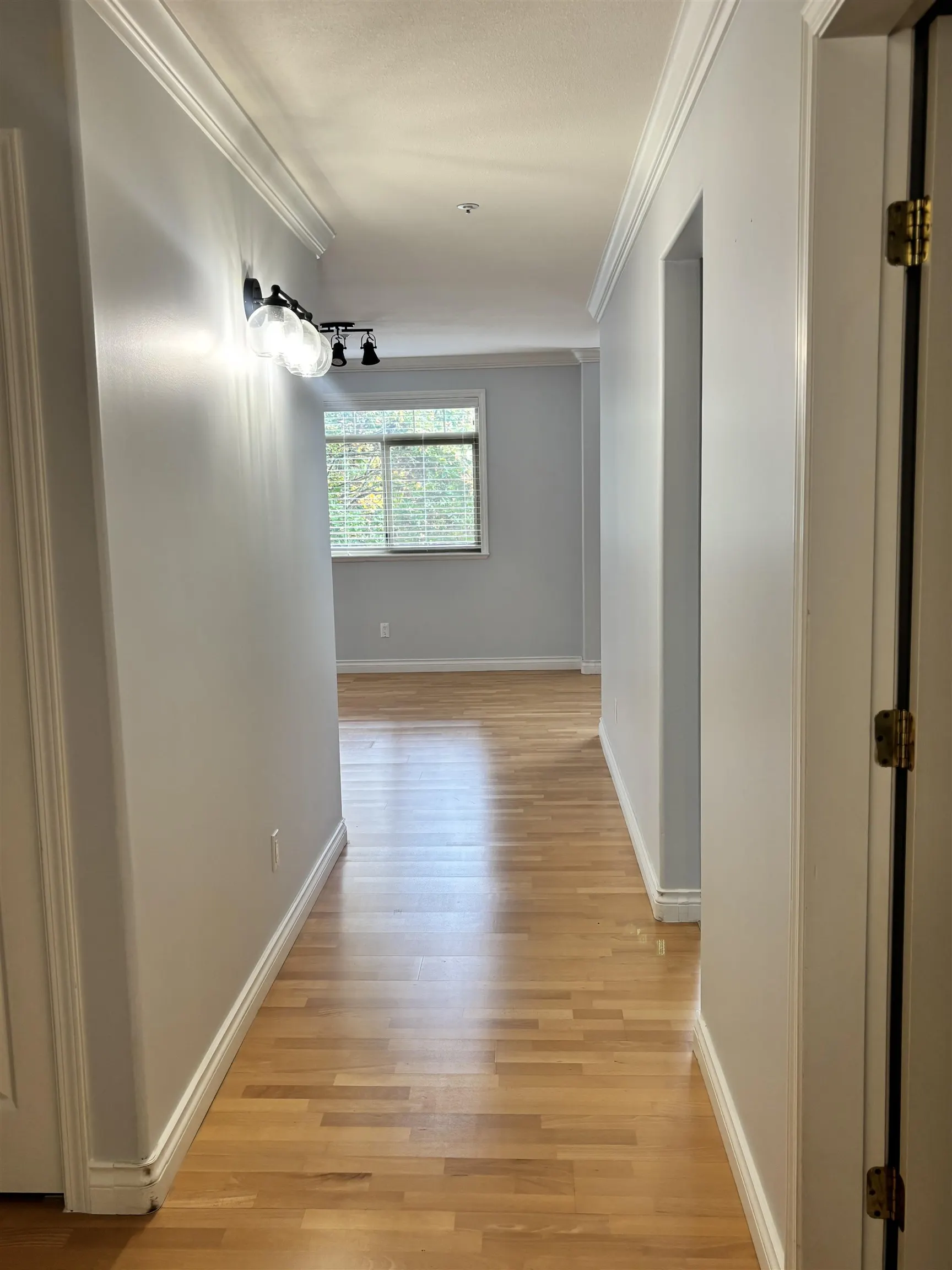 A203 1258 Hunter Road