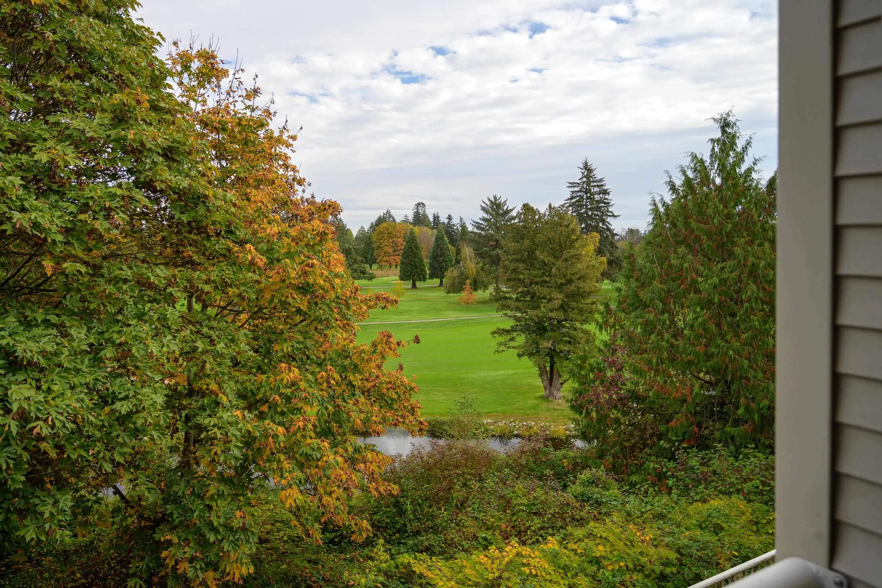 A203 1258 Hunter Road