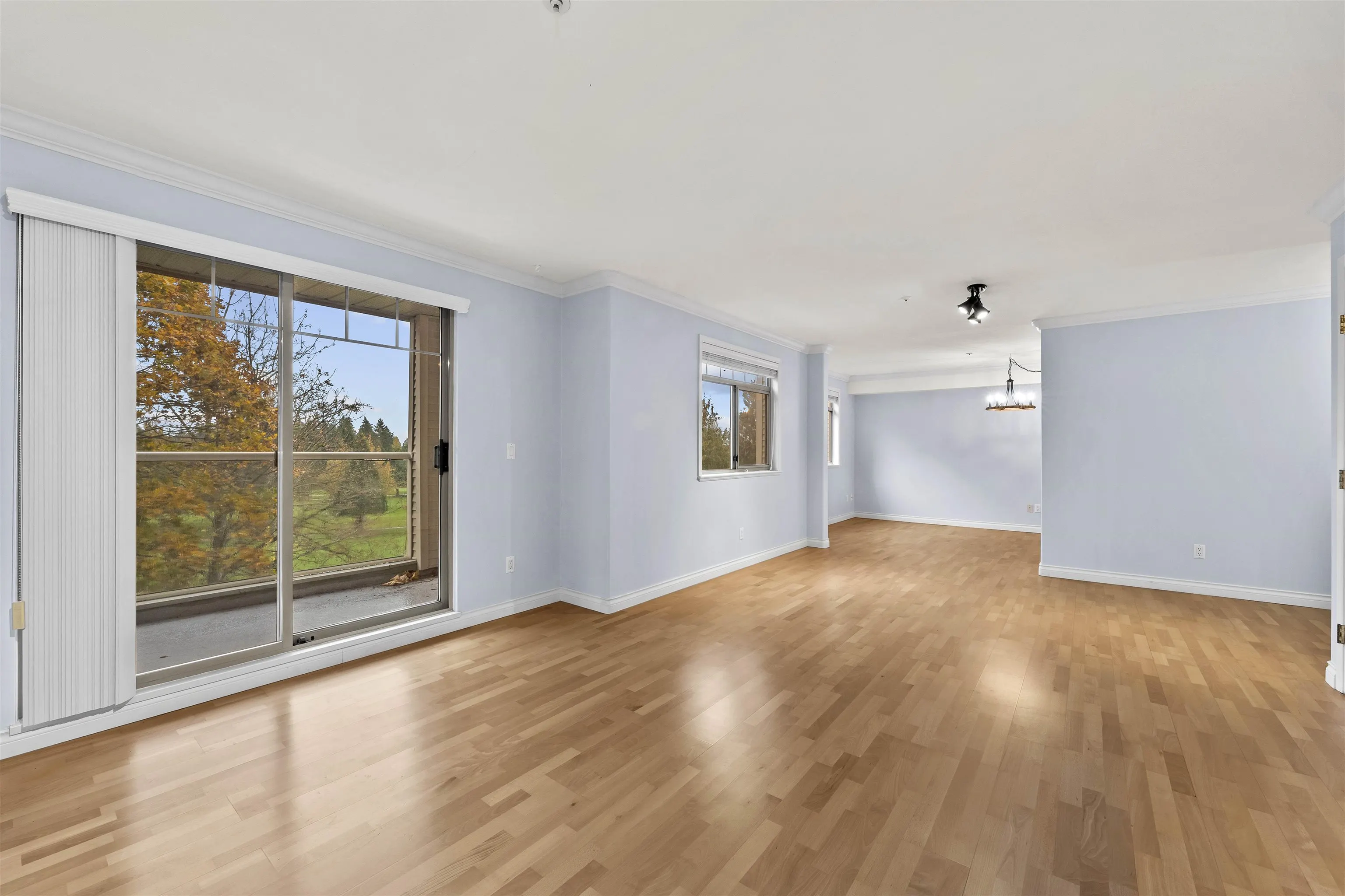 A203 1258 Hunter Road