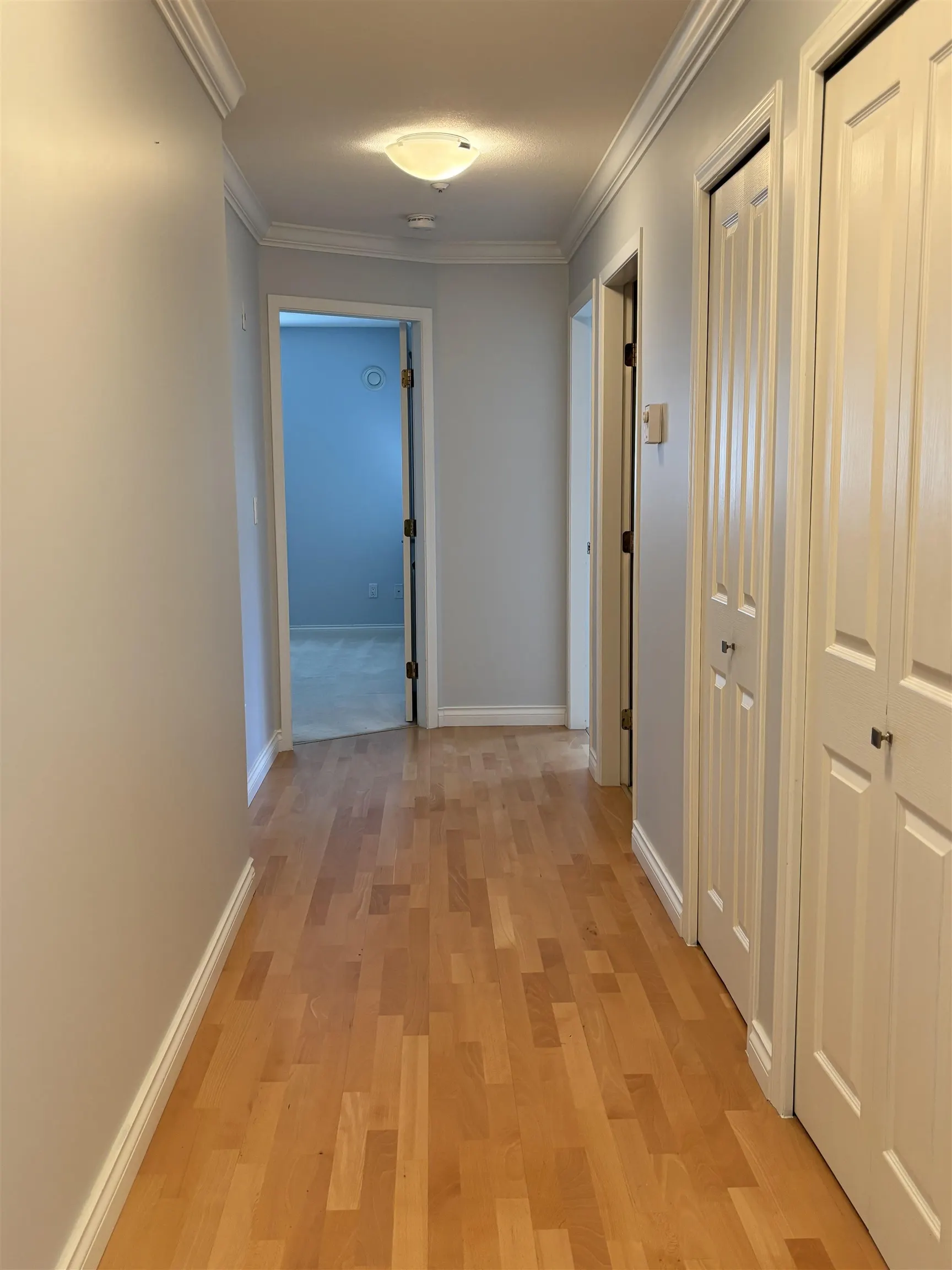 A203 1258 Hunter Road