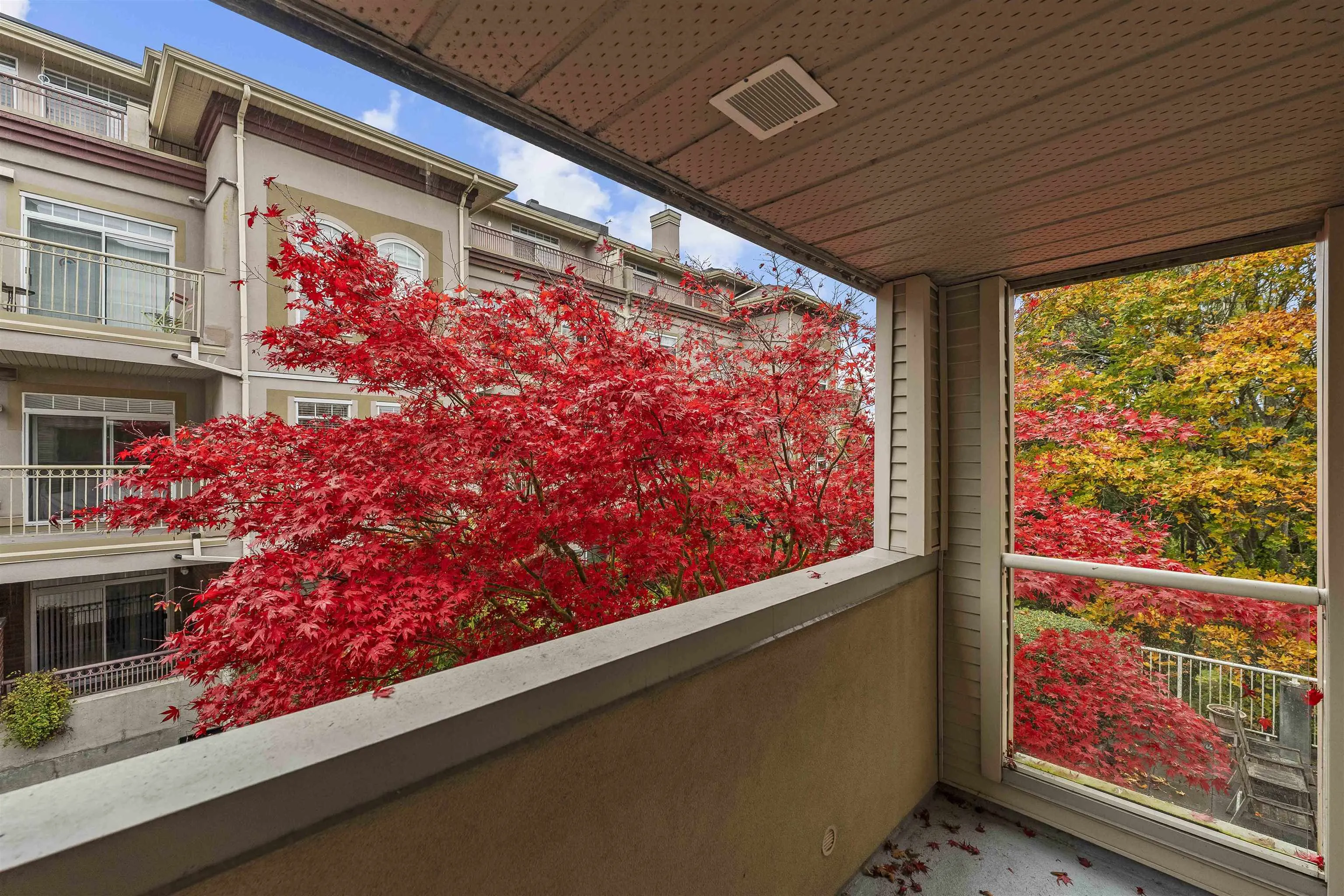 A203 1258 Hunter Road