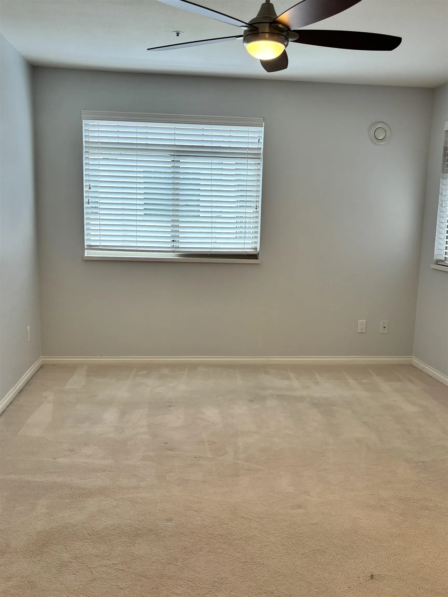 A203 1258 Hunter Road