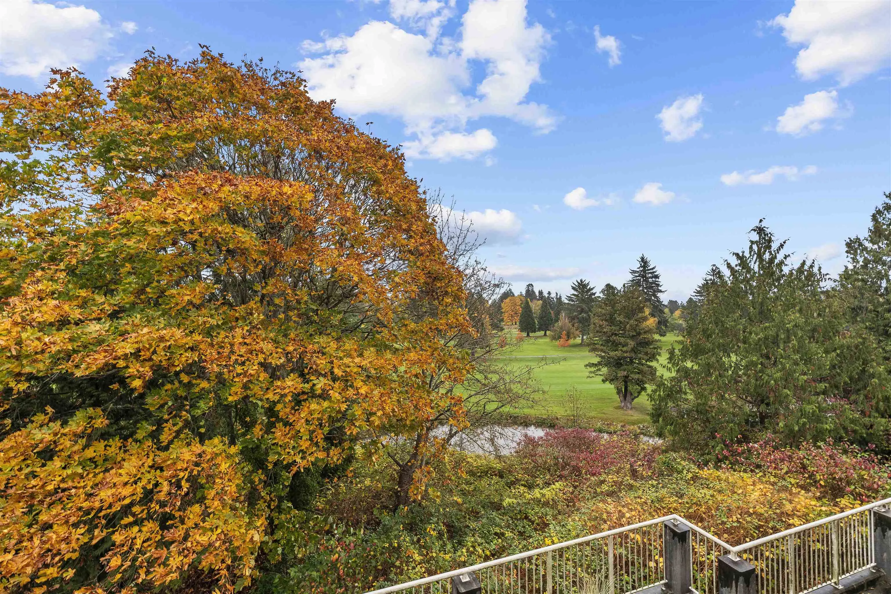 A203 1258 Hunter Road