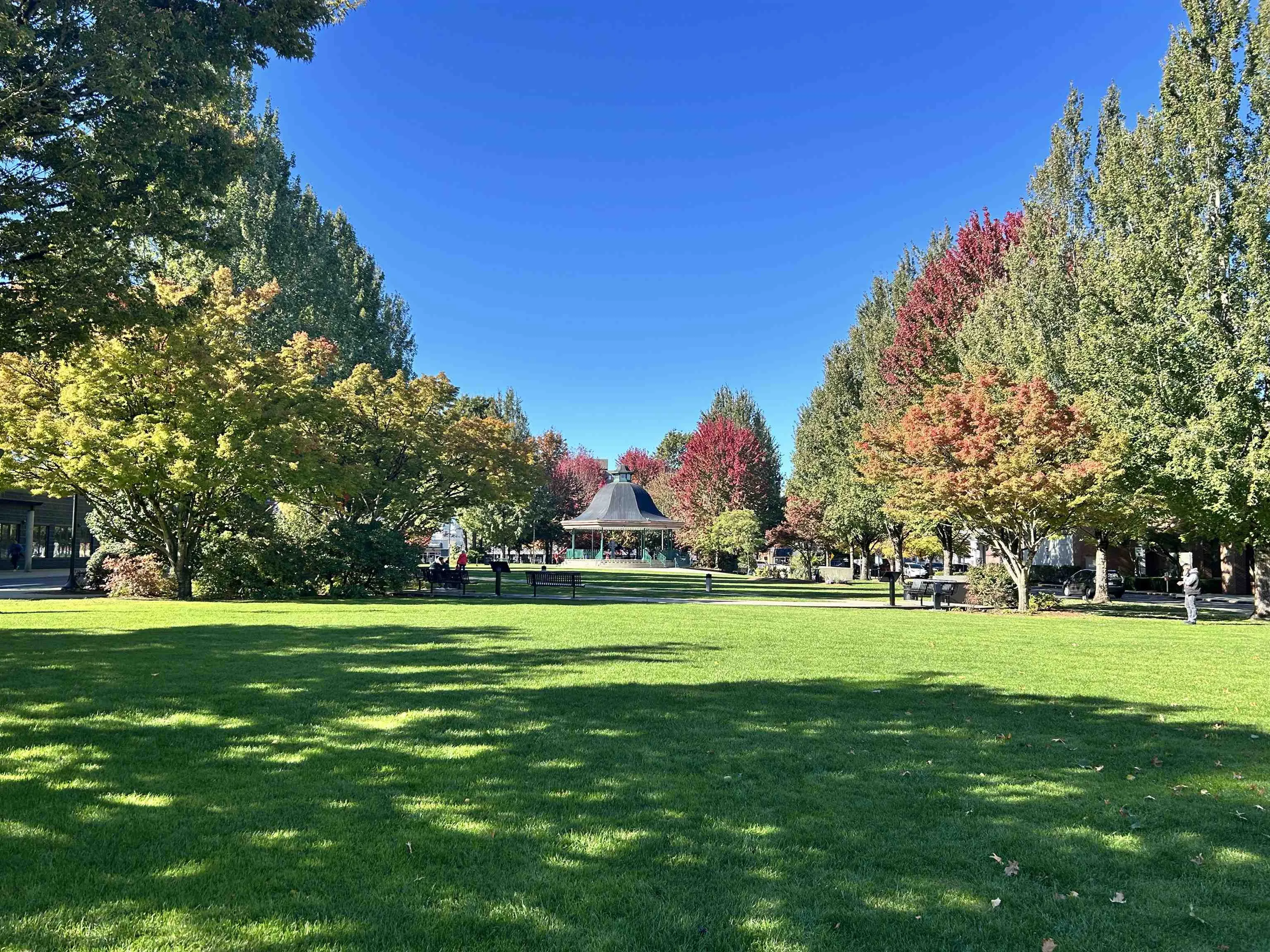 215 22150 Dewdney Trunk Road