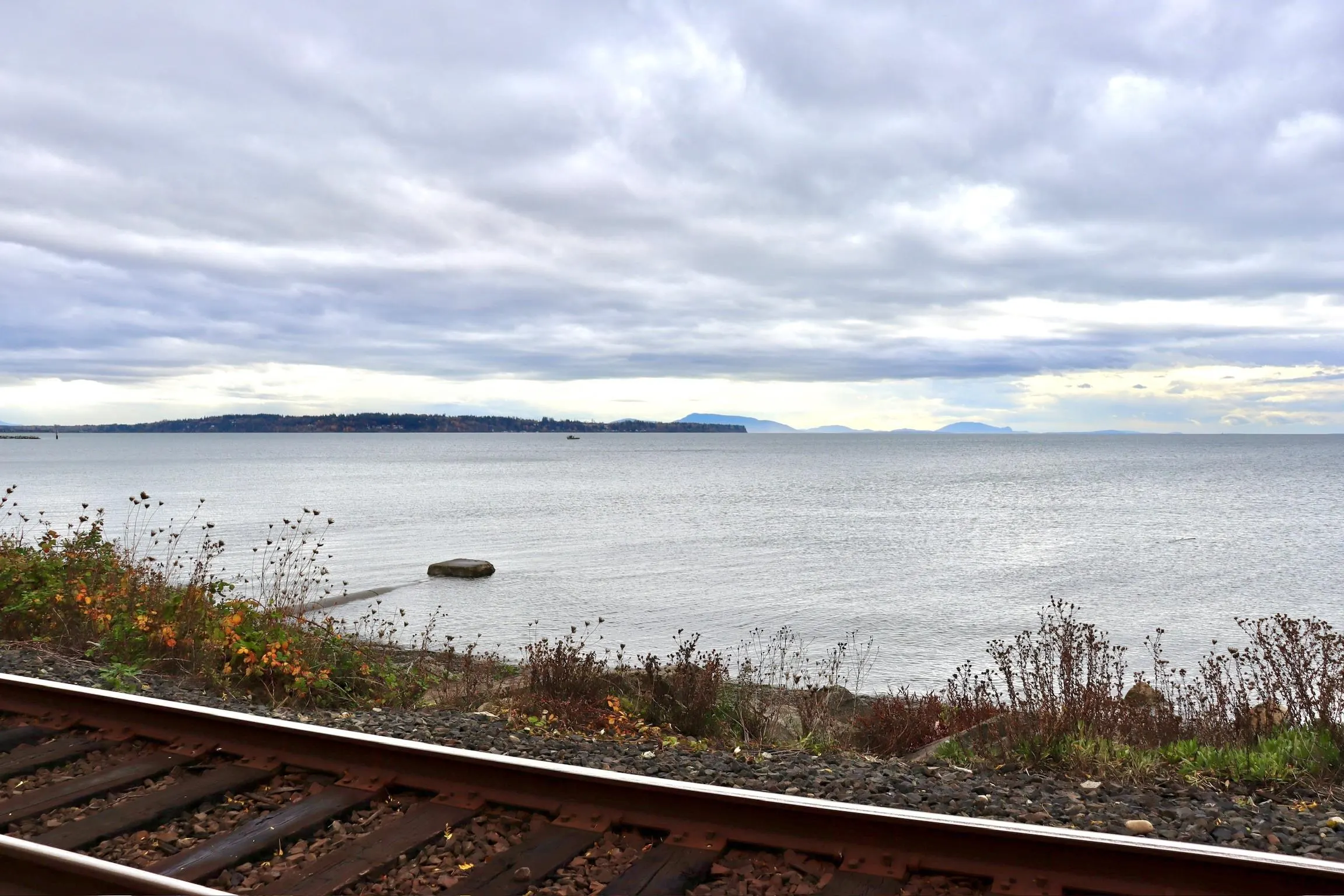 1 1860 Southmere East Crescent