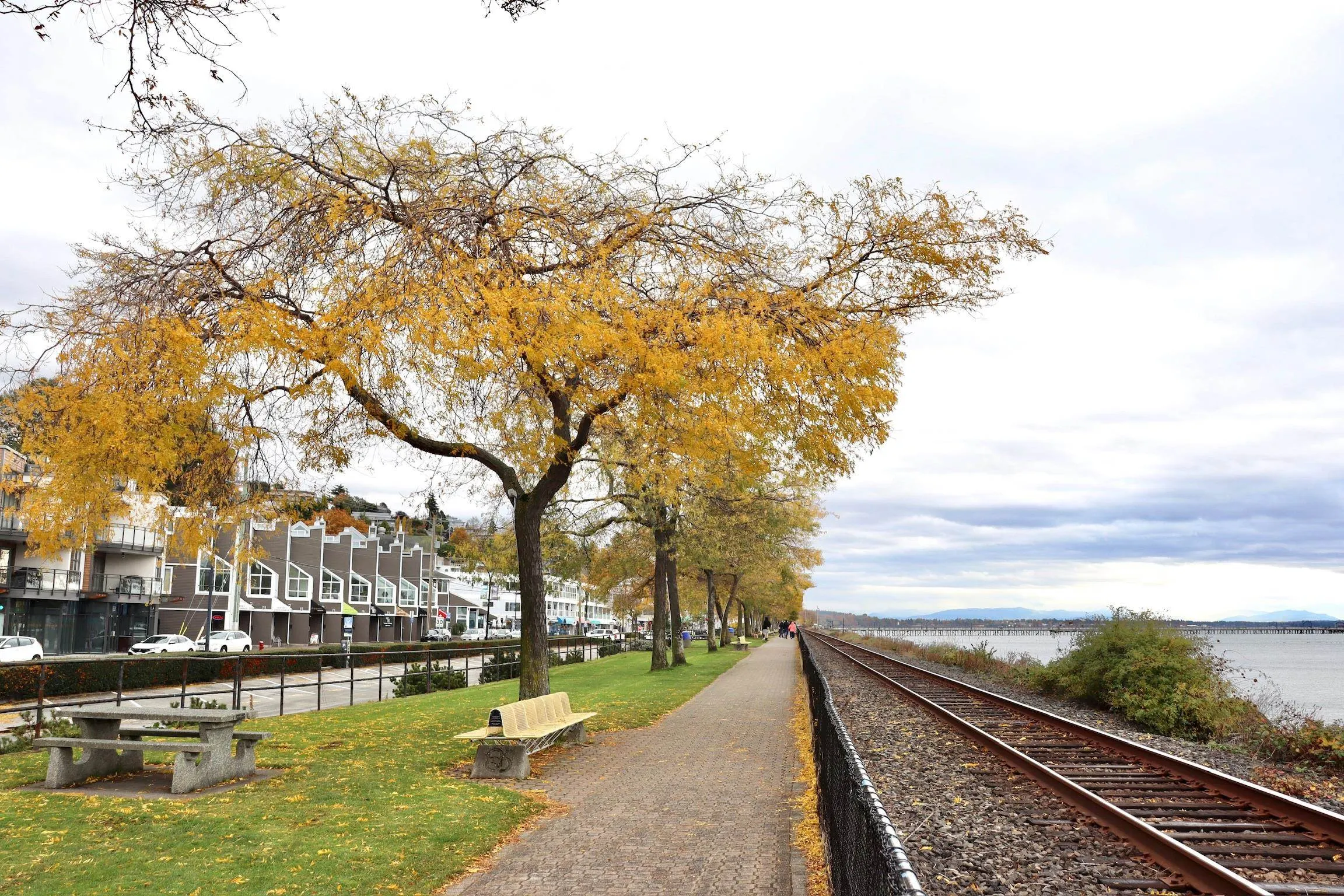 1 1860 Southmere East Crescent