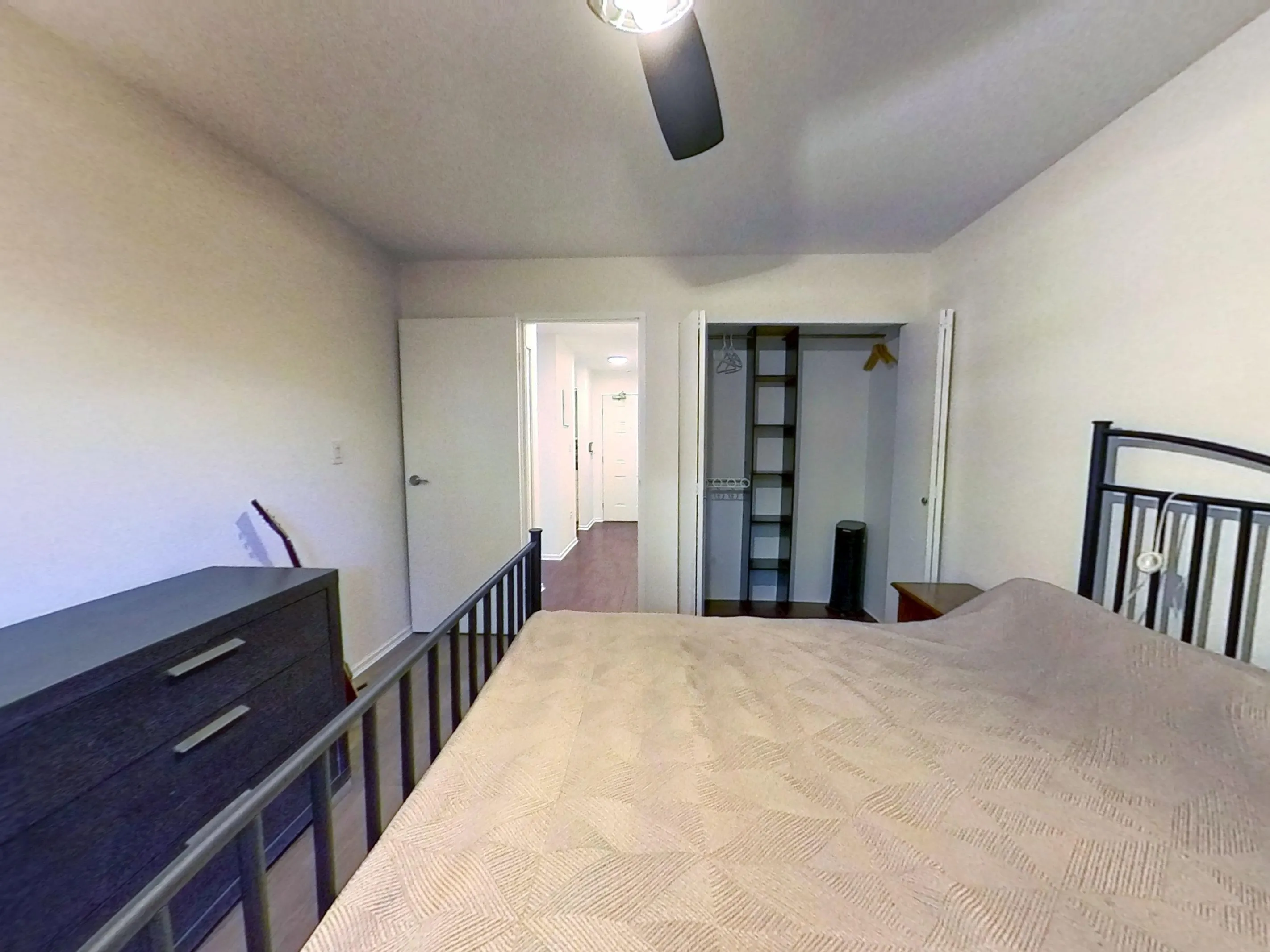 215 428 Agnes Street