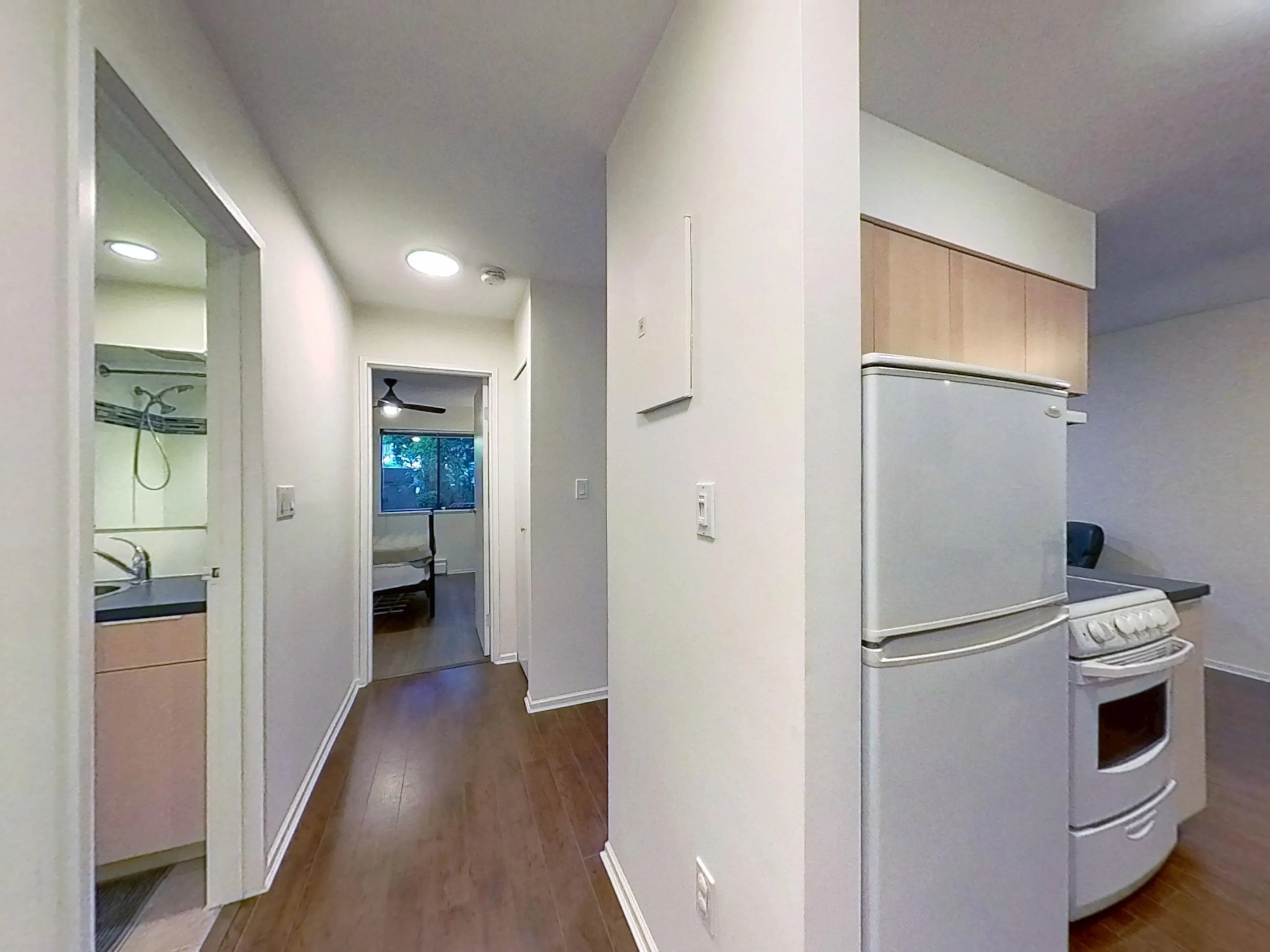 215 428 Agnes Street