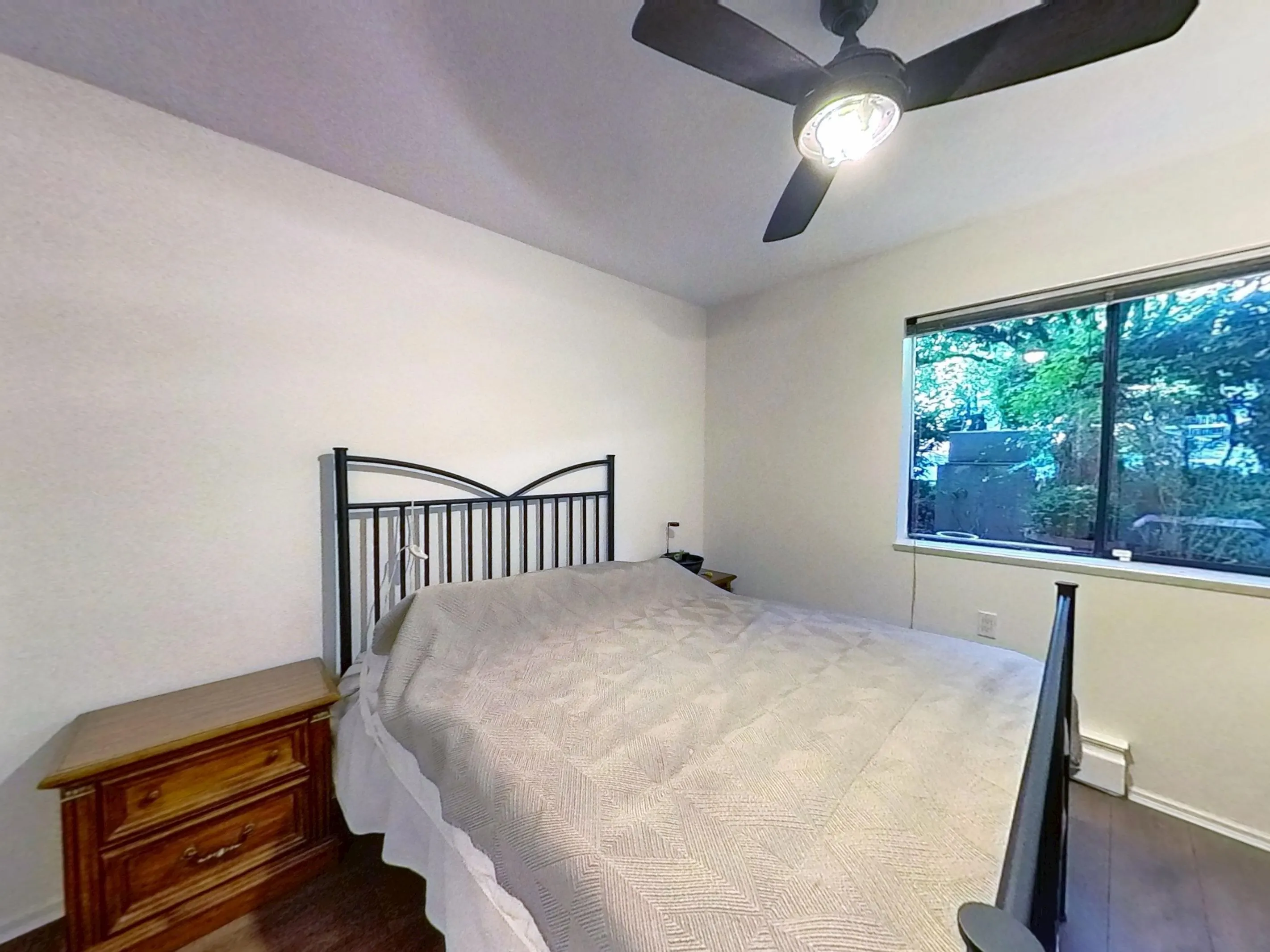 215 428 Agnes Street