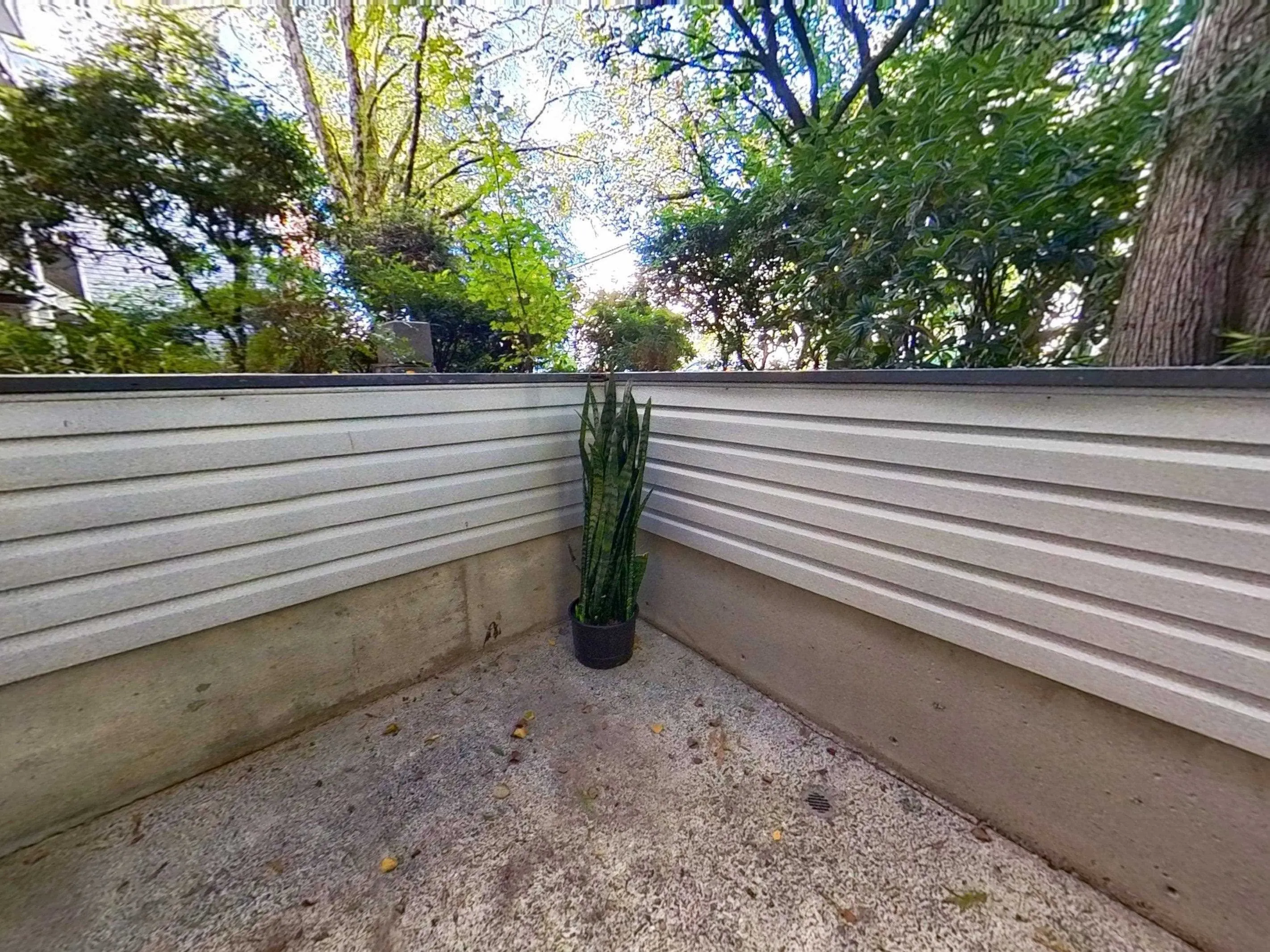 215 428 Agnes Street