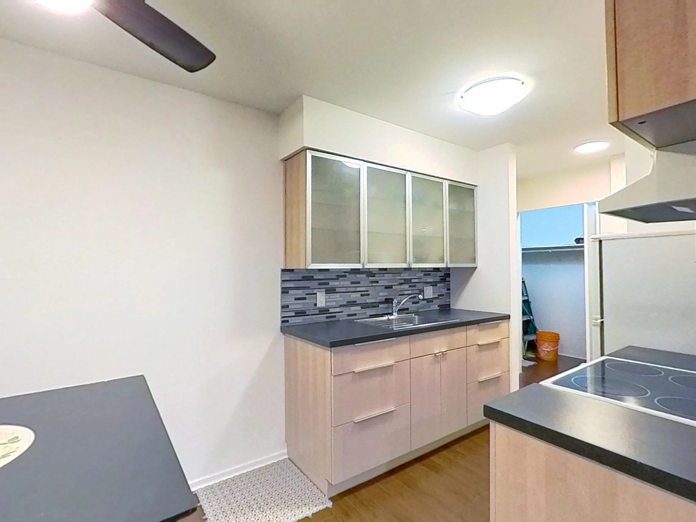 215 428 Agnes Street