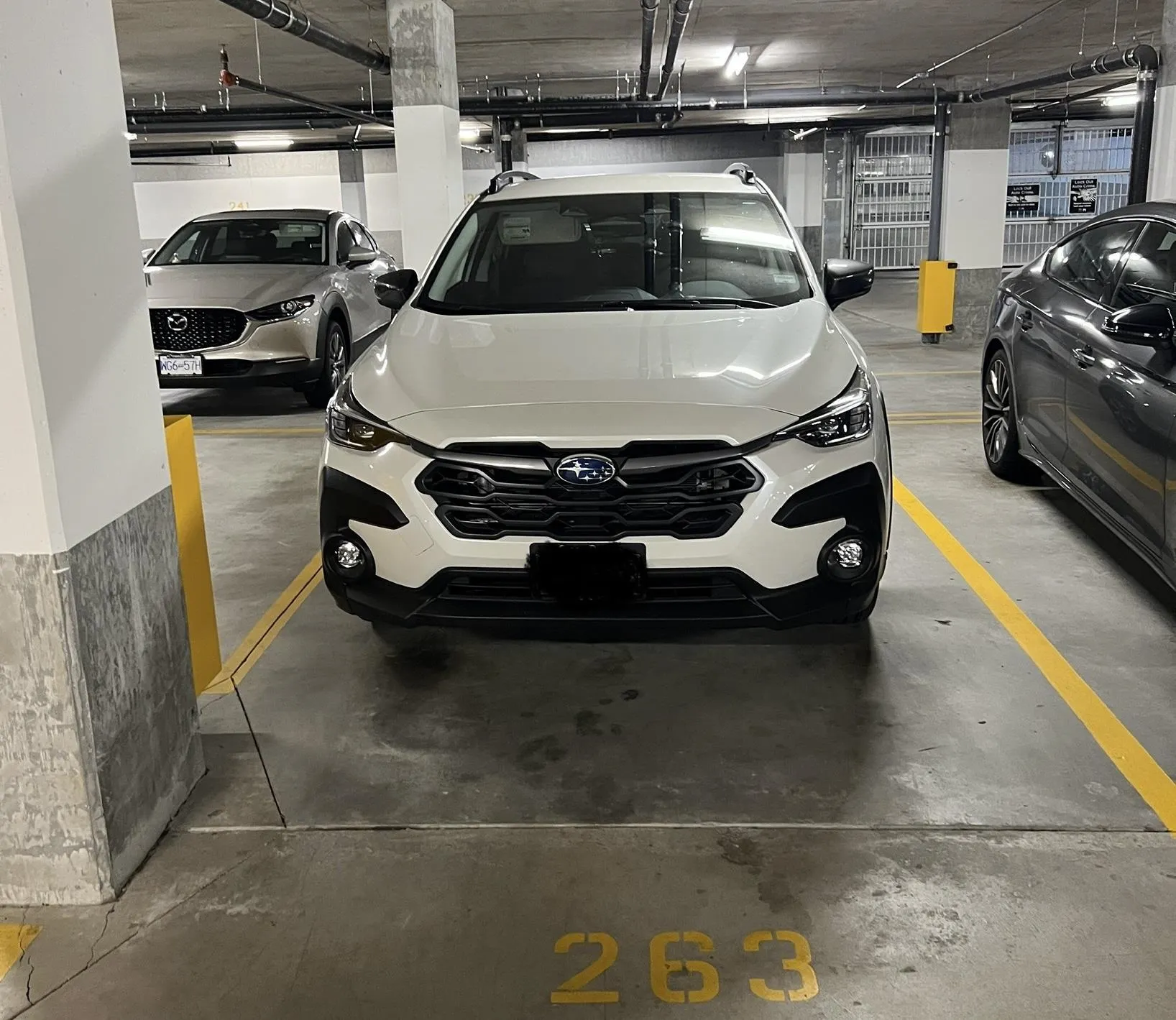 1905 3100 Windsor Gate