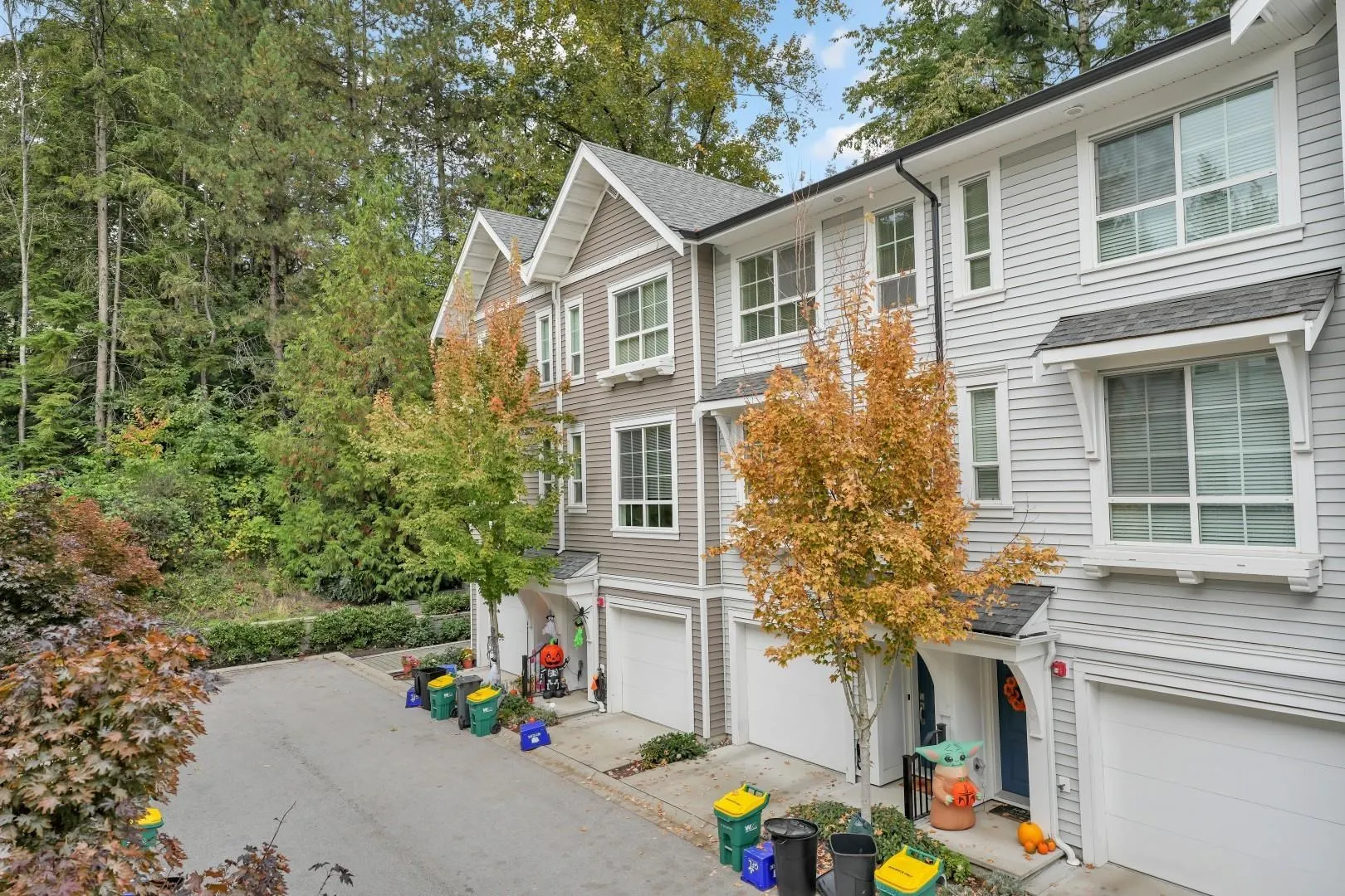 74 19696 Hammond Road