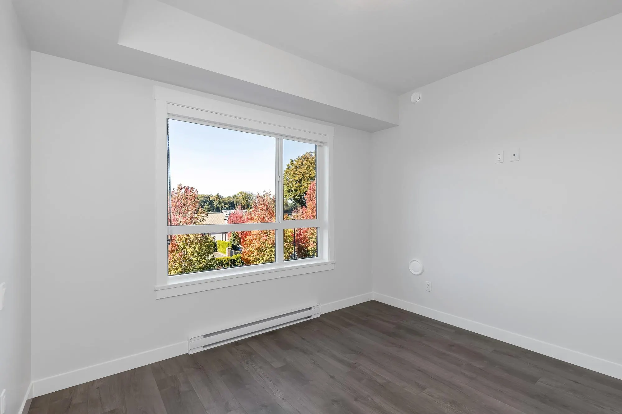 304 33886 Pine Street