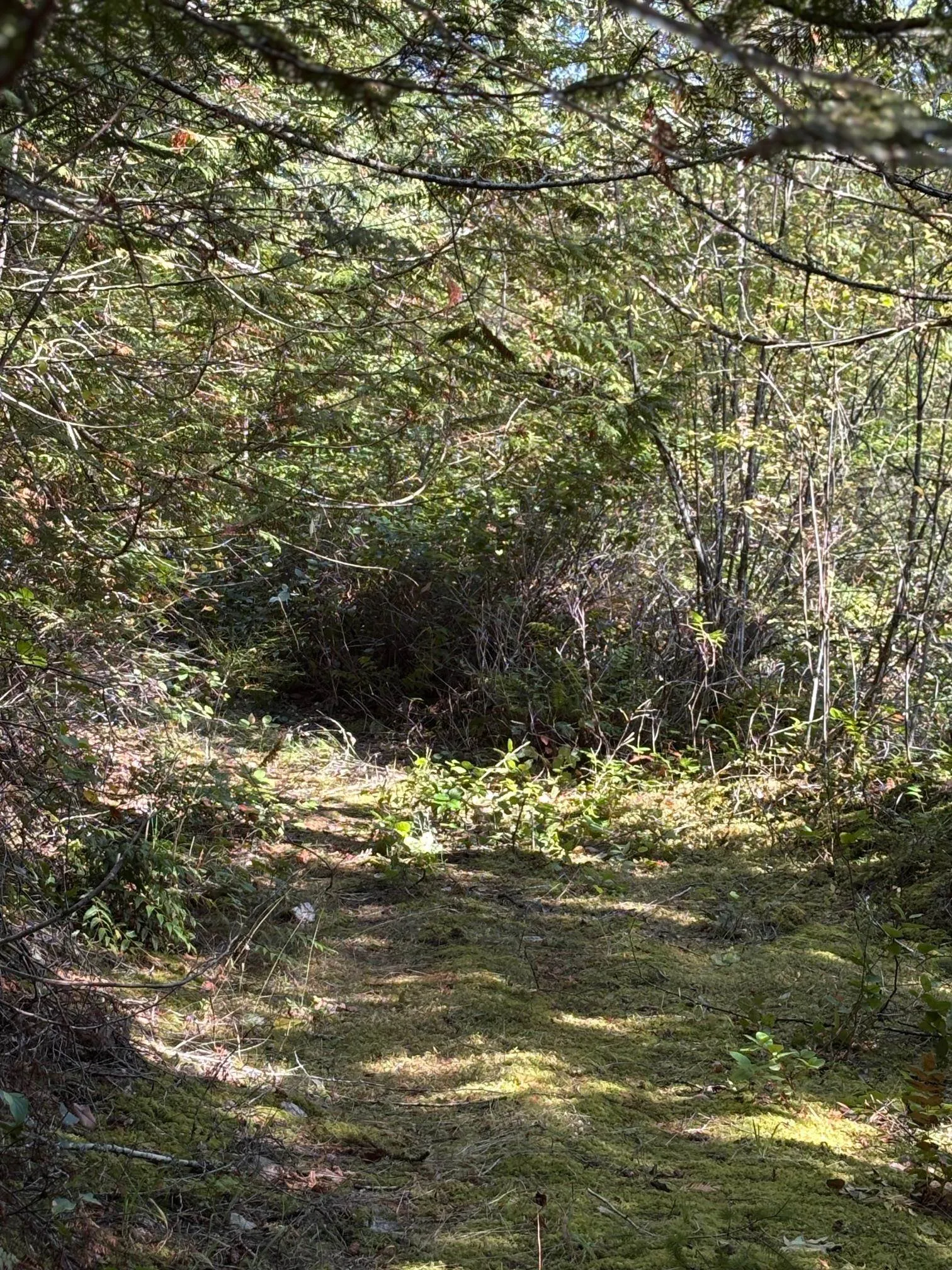 LOT B Porters Rd Road
