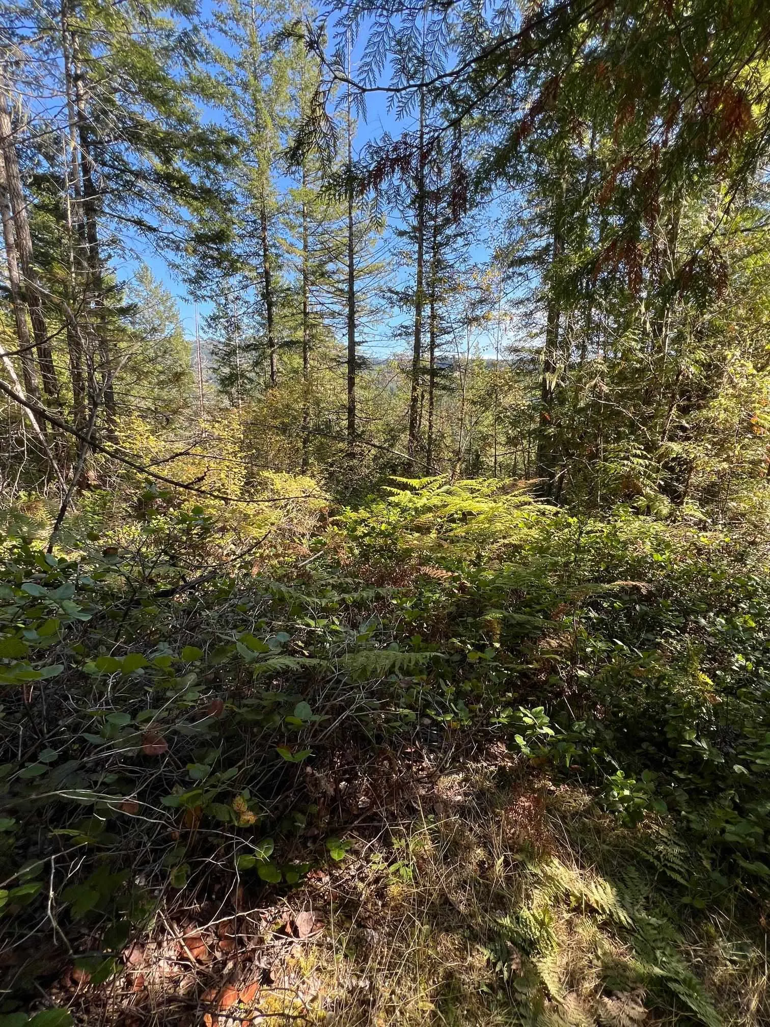 LOT B Porters Rd Road