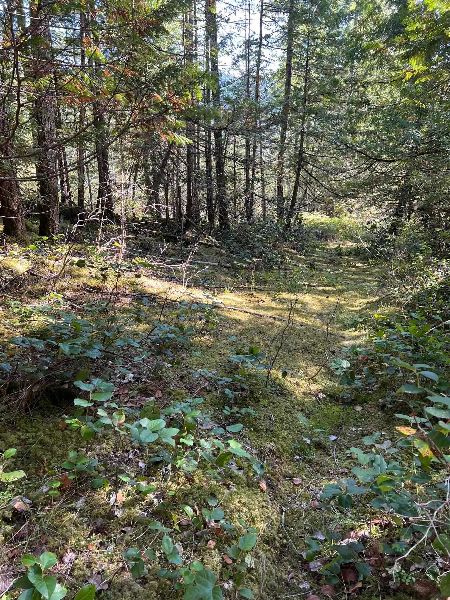 LOT B Porters Rd Road