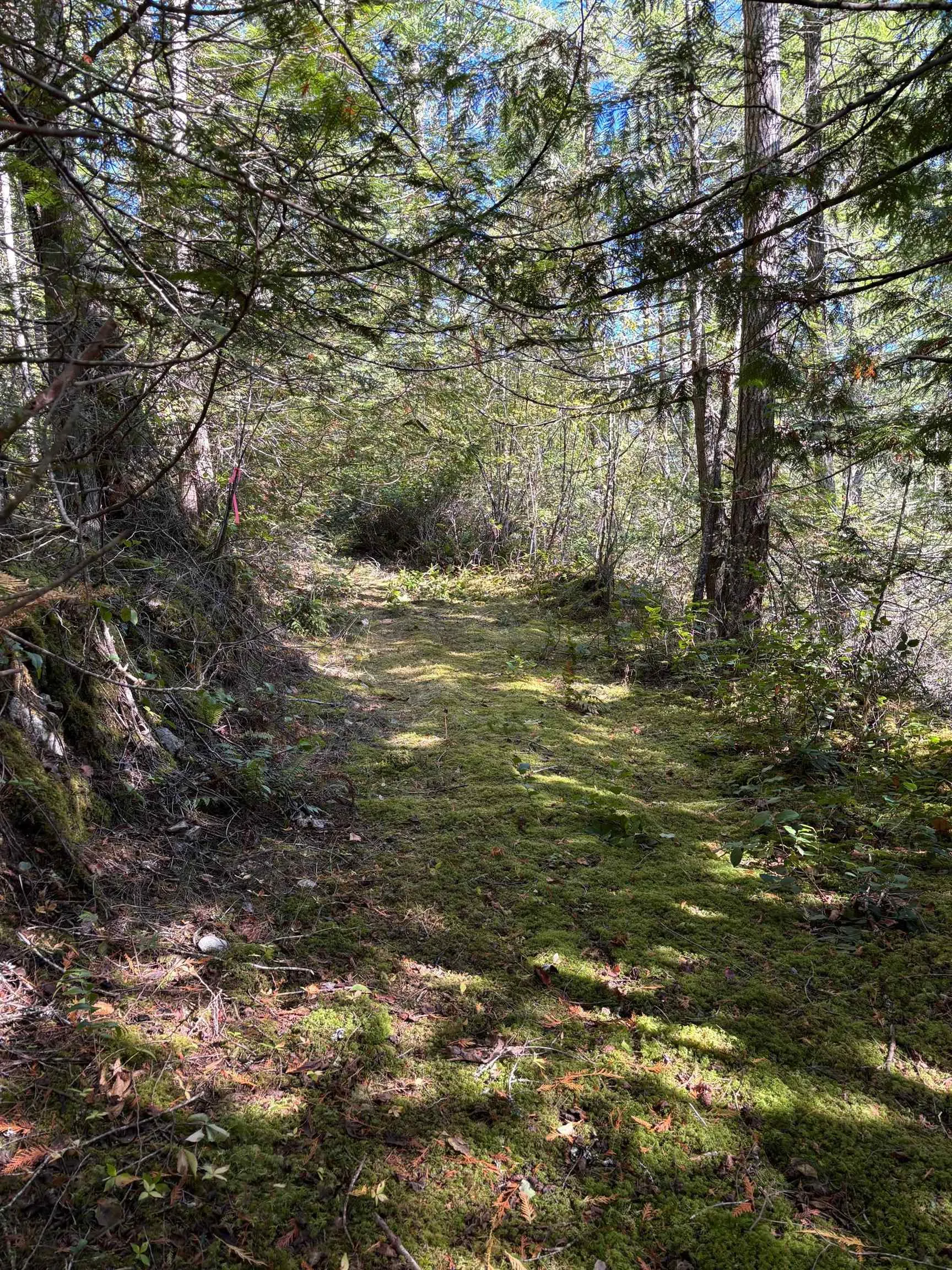 LOT B Porters Rd Road