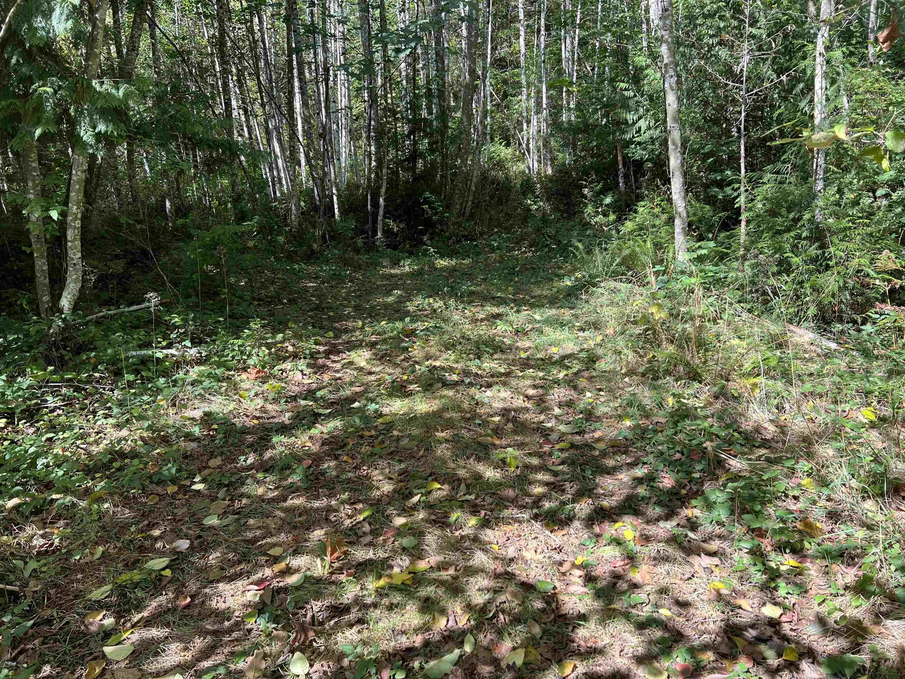 LOT B Porters Rd Road