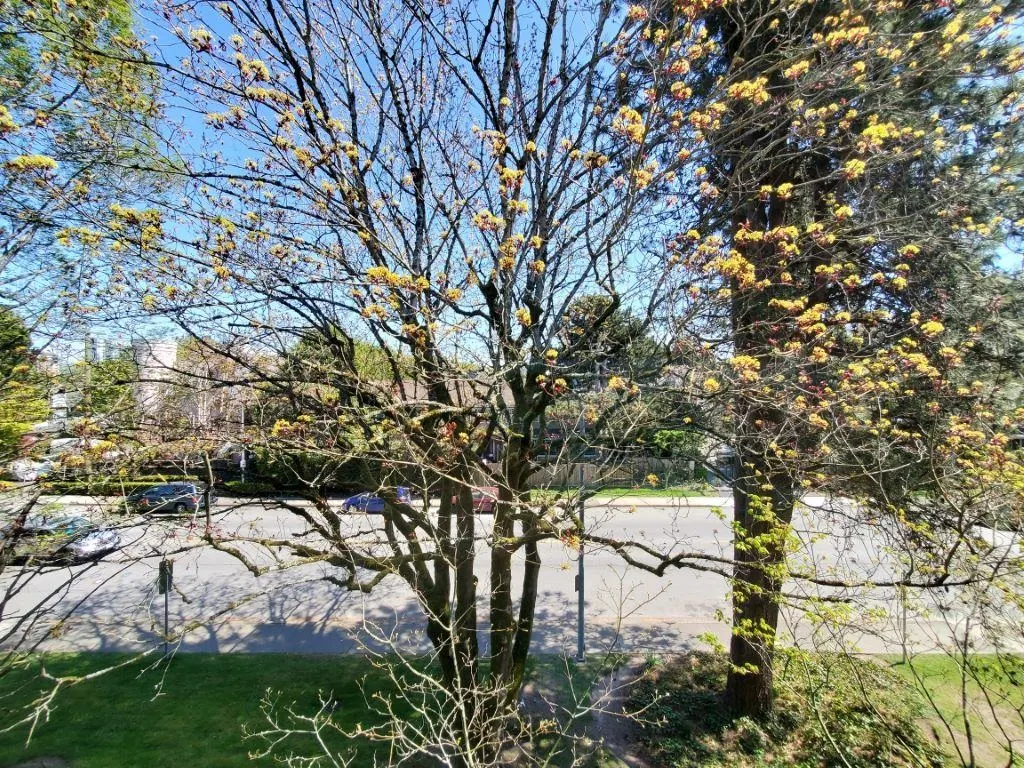 2F 7411 Minoru Boulevard