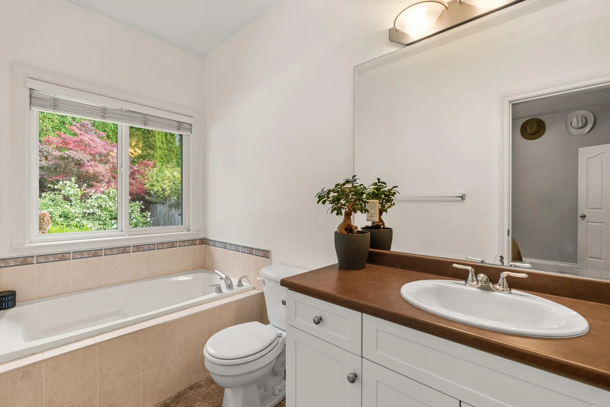 3330 Goldstream Drive