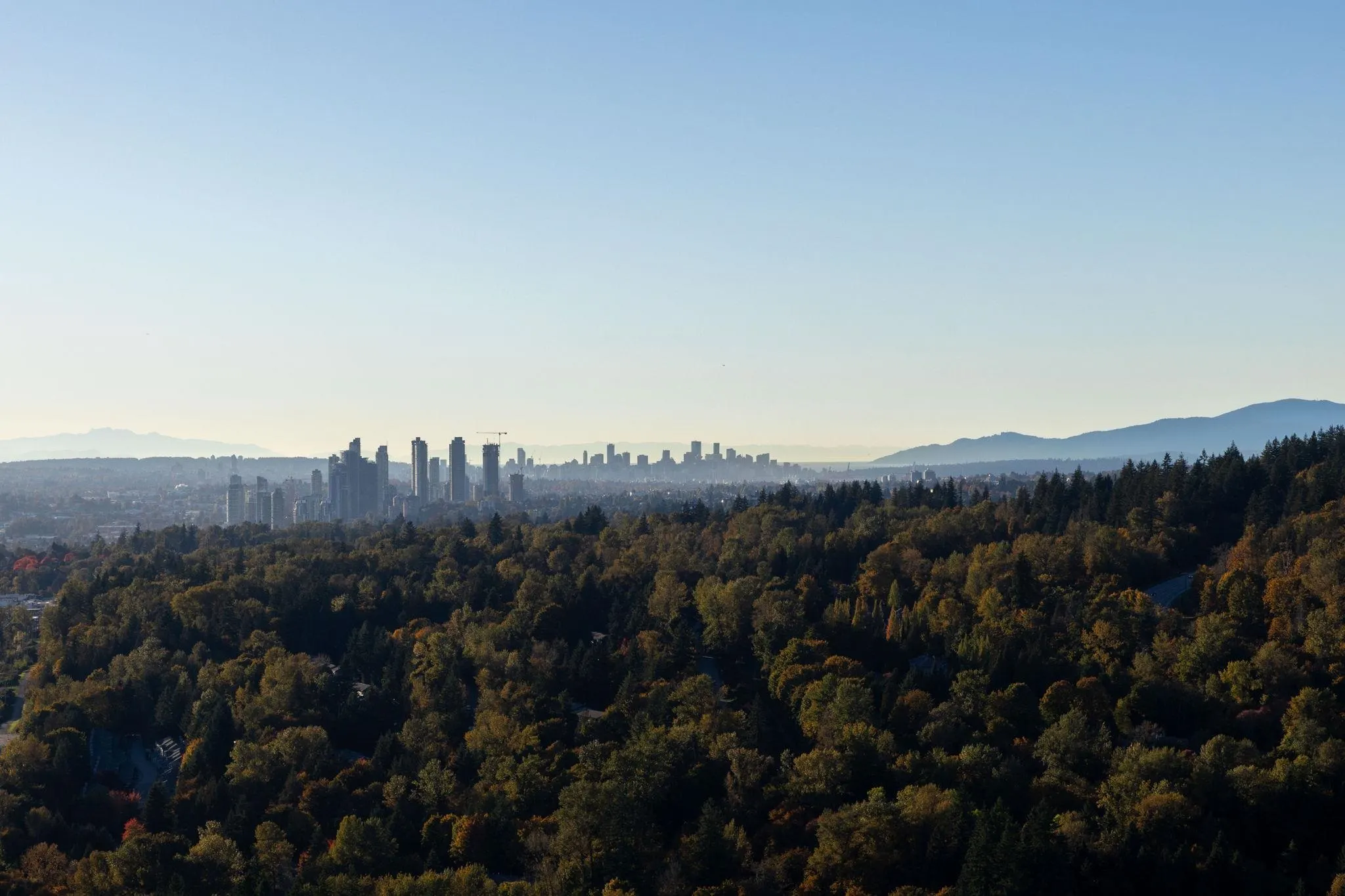 3901 720 Farrow Street