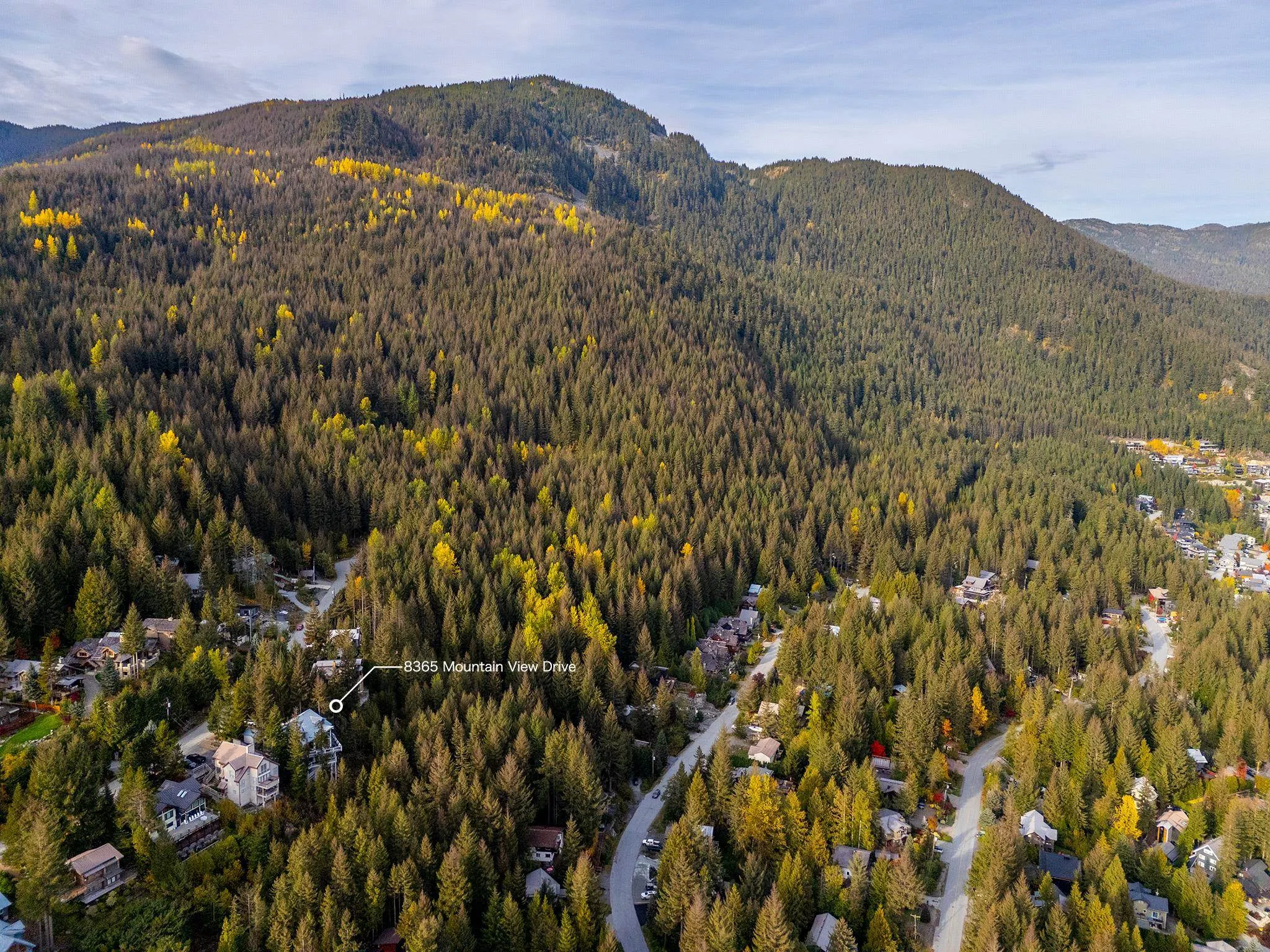 8365 Mountain View Drive